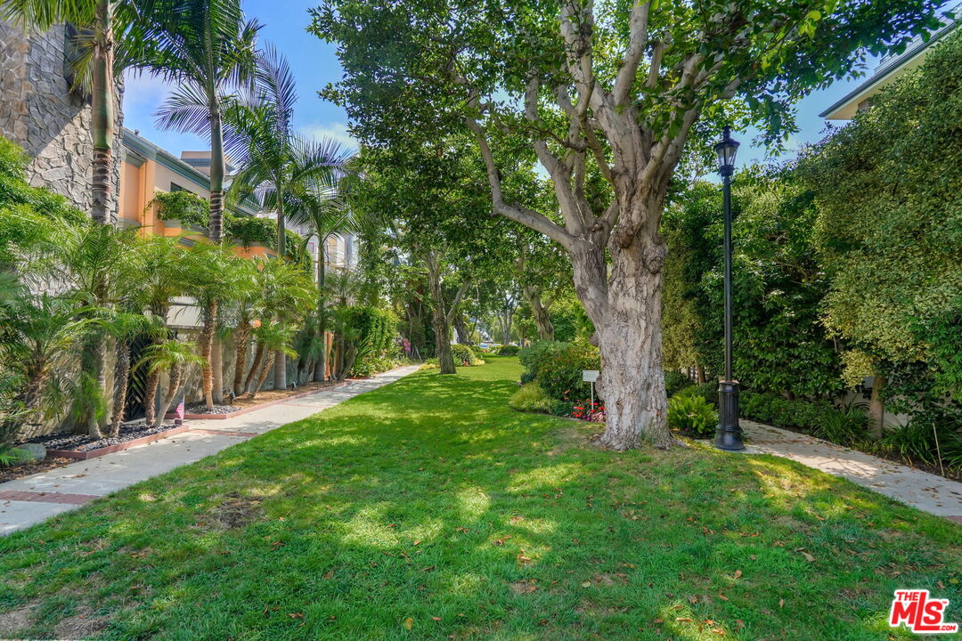 131 Reef Mall Marina del Rey, CA 90292 - Photo 41 of 43 a view of a yard with large trees