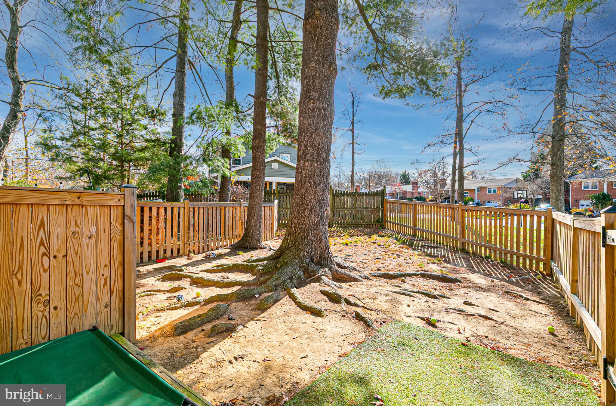 3419 Ramsgate Terrace Alexandria, VA 22309 - Photo 31 of 36 Serene backyard oasis with towering trees.