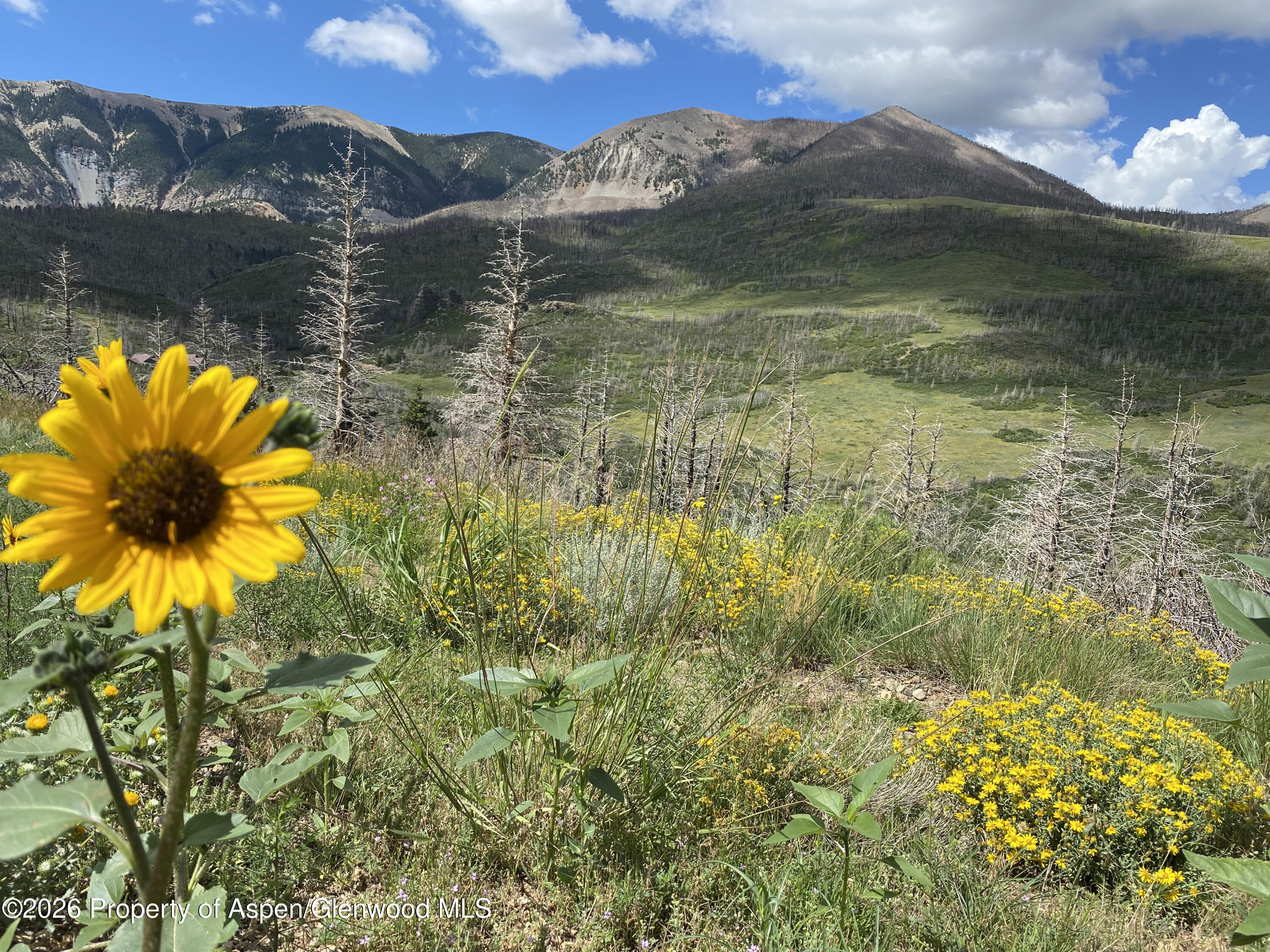1833 Yellowstone Creek Road Gardner, CO 81040 - Photo 40 of 50 a view of lake with mountain