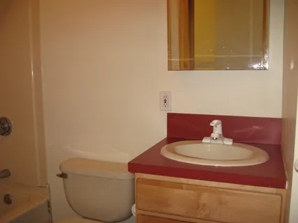a bathroom with a toilet and a bath tub