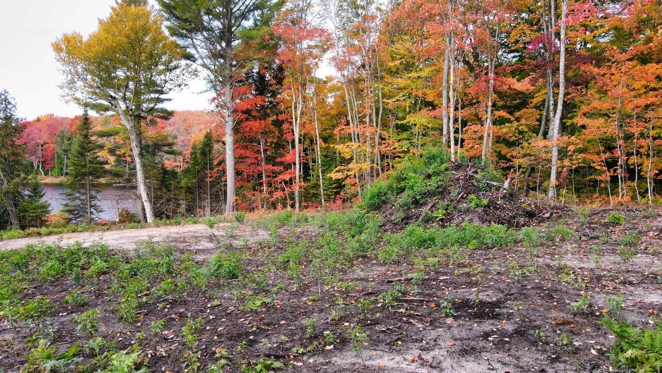 2029 Carpenter Lake Road Seney, MI 49883 - Photo 14 of 35 Gallery Image 14