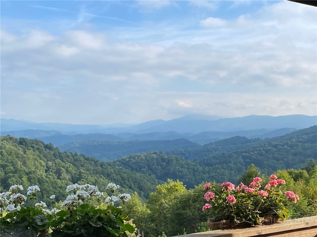 1074 Ridge Haven Parkway, Unit RX6 Banner Elk, NC 28604 - Photo 18 of 50 Gallery Image 18
