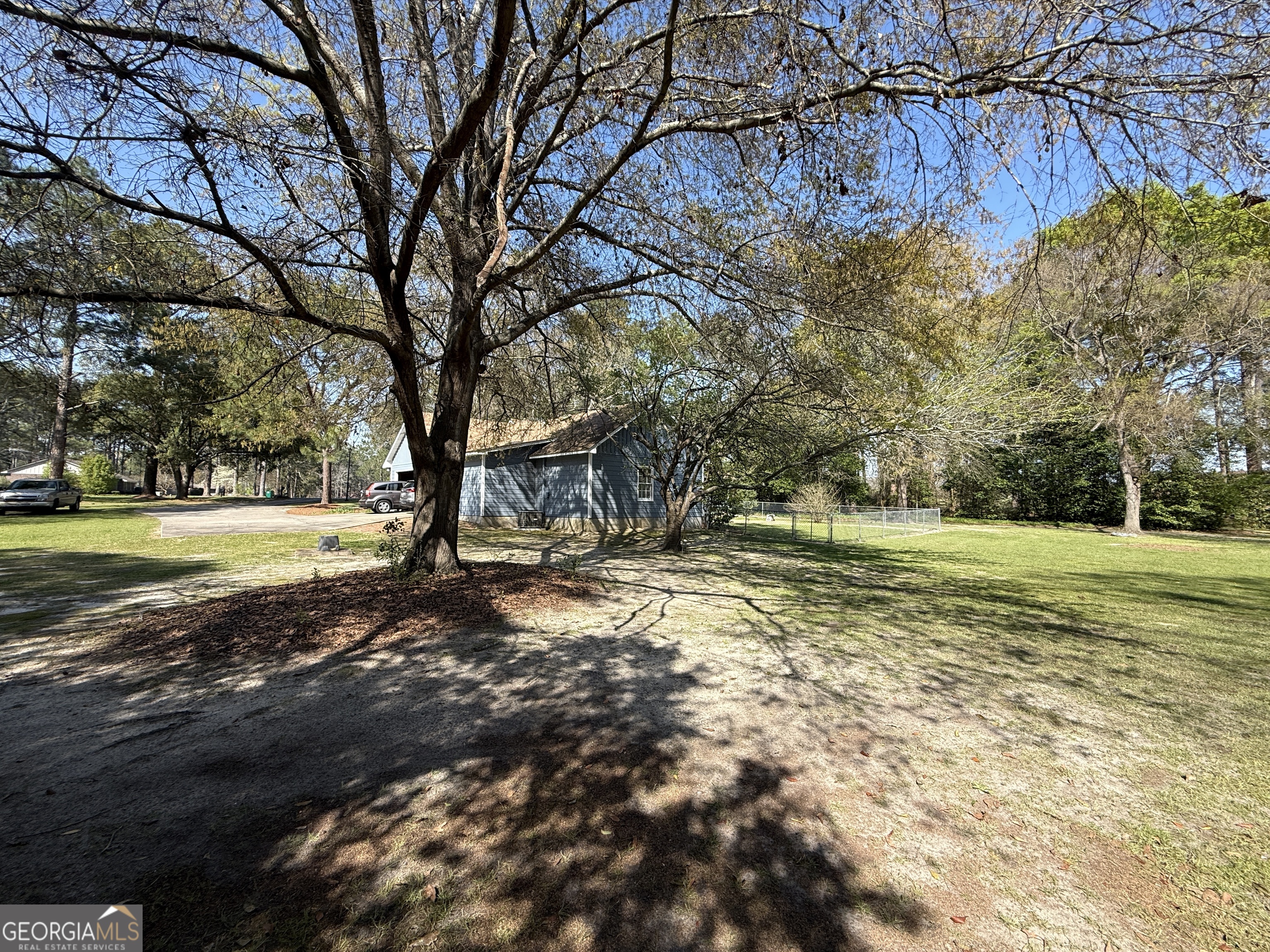 104 Monte Place Cordele, GA 31015 - Photo 6 of 52 a view of a yard with a tree
