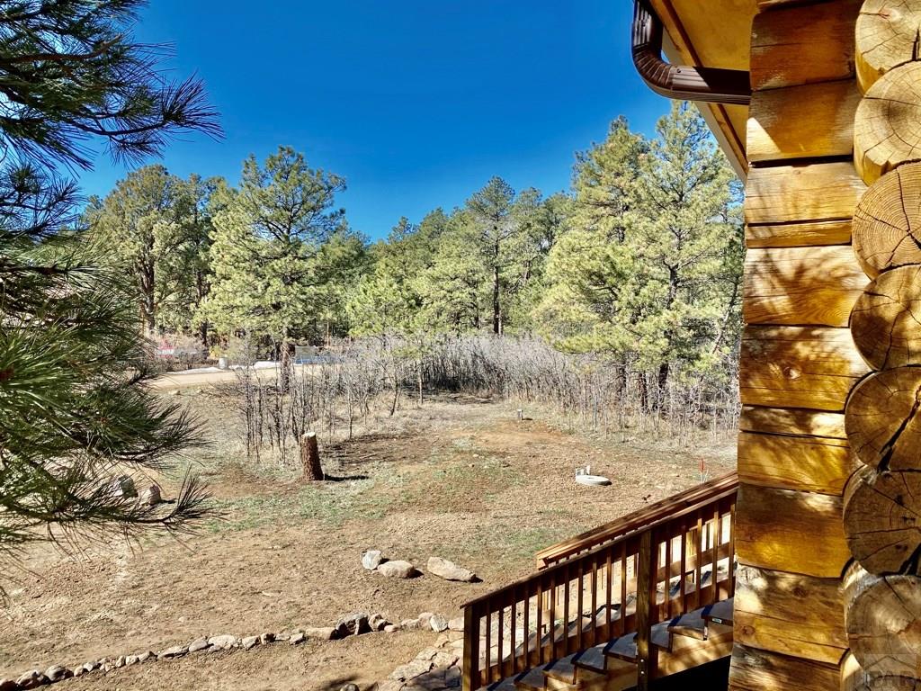 8095 Elna Drive Rye, CO 81069 - Photo 36 of 44 Gallery Image 36