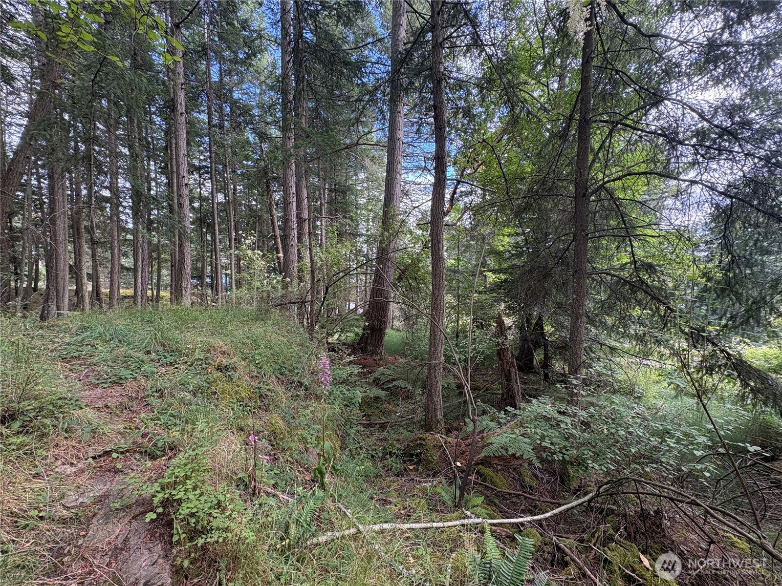 14 Rosario Road Orcas Island, WA 98245 - Photo 20 of 39