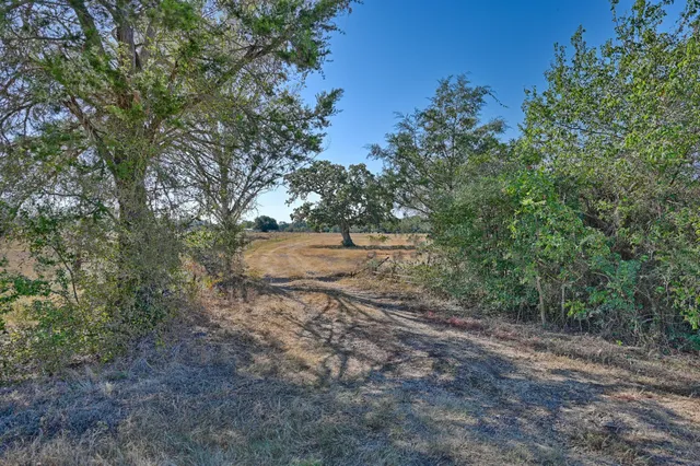a view of dirt field with large trees