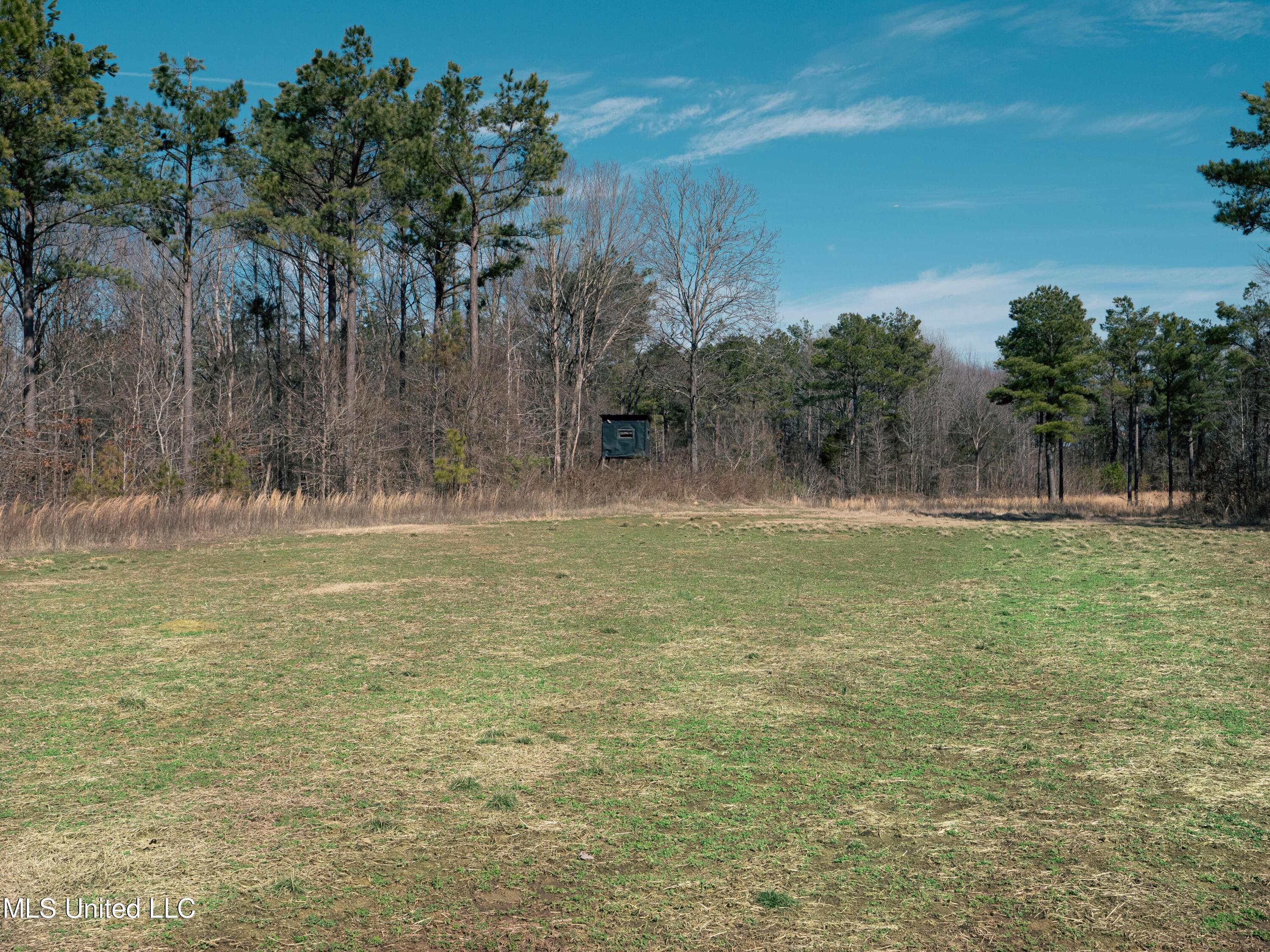 Millwright Road Holly Springs, MS 38635 - Photo 11 of 24 P1025446low