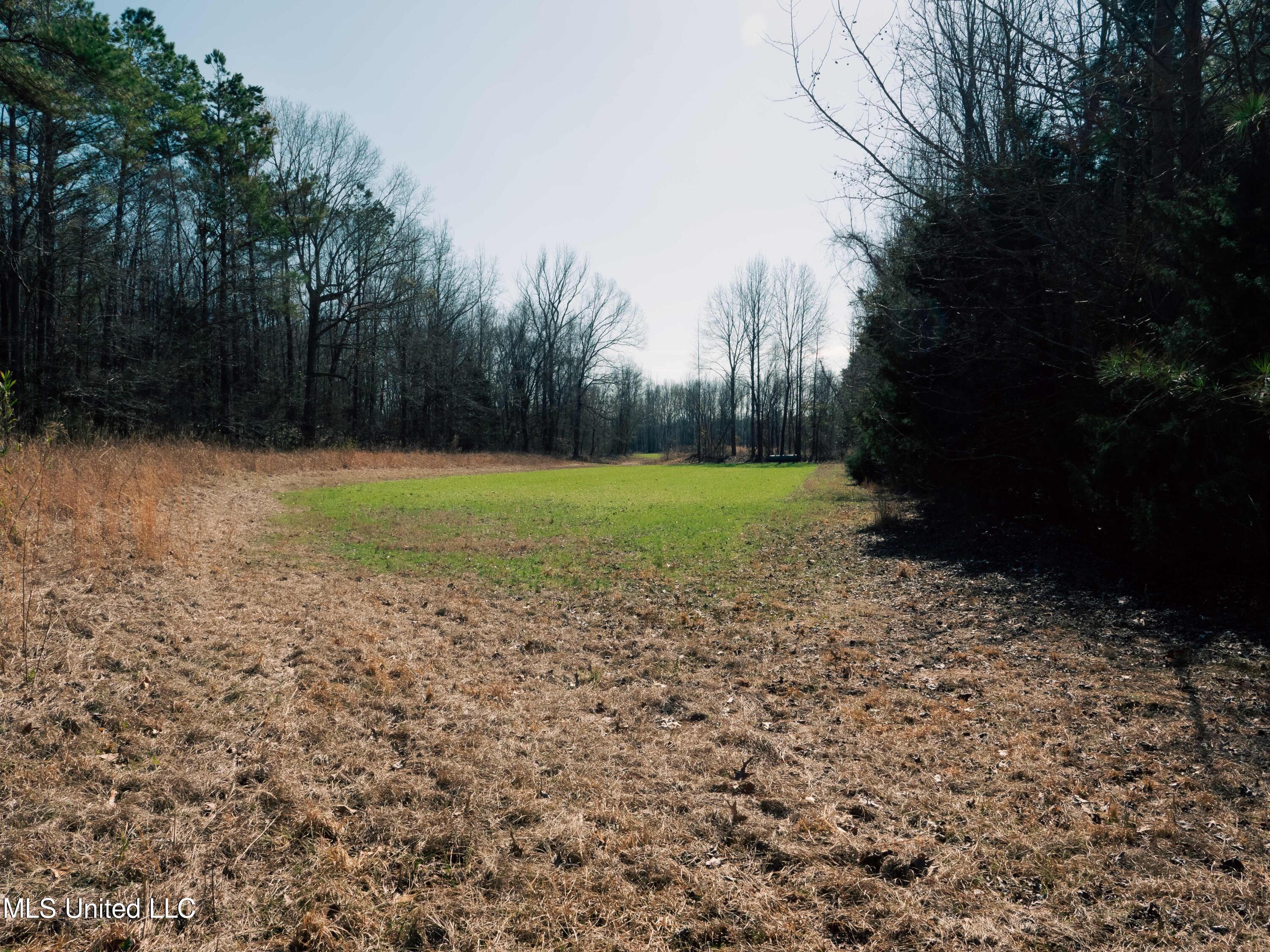 Millwright Road Holly Springs, MS 38635 - Photo 15 of 24 P1025515low
