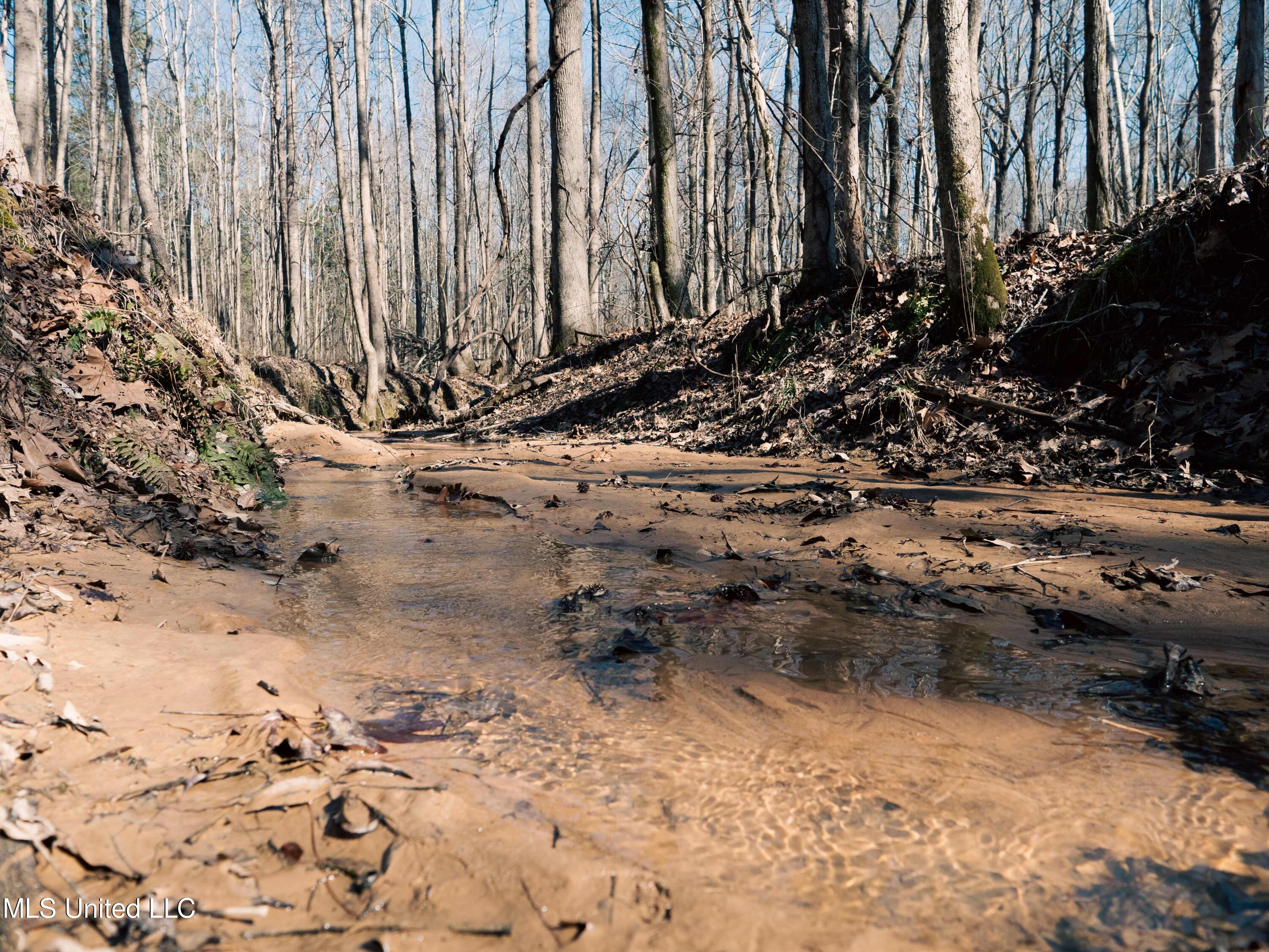 Millwright Road Holly Springs, MS 38635 - Photo 17 of 24 P1025554low