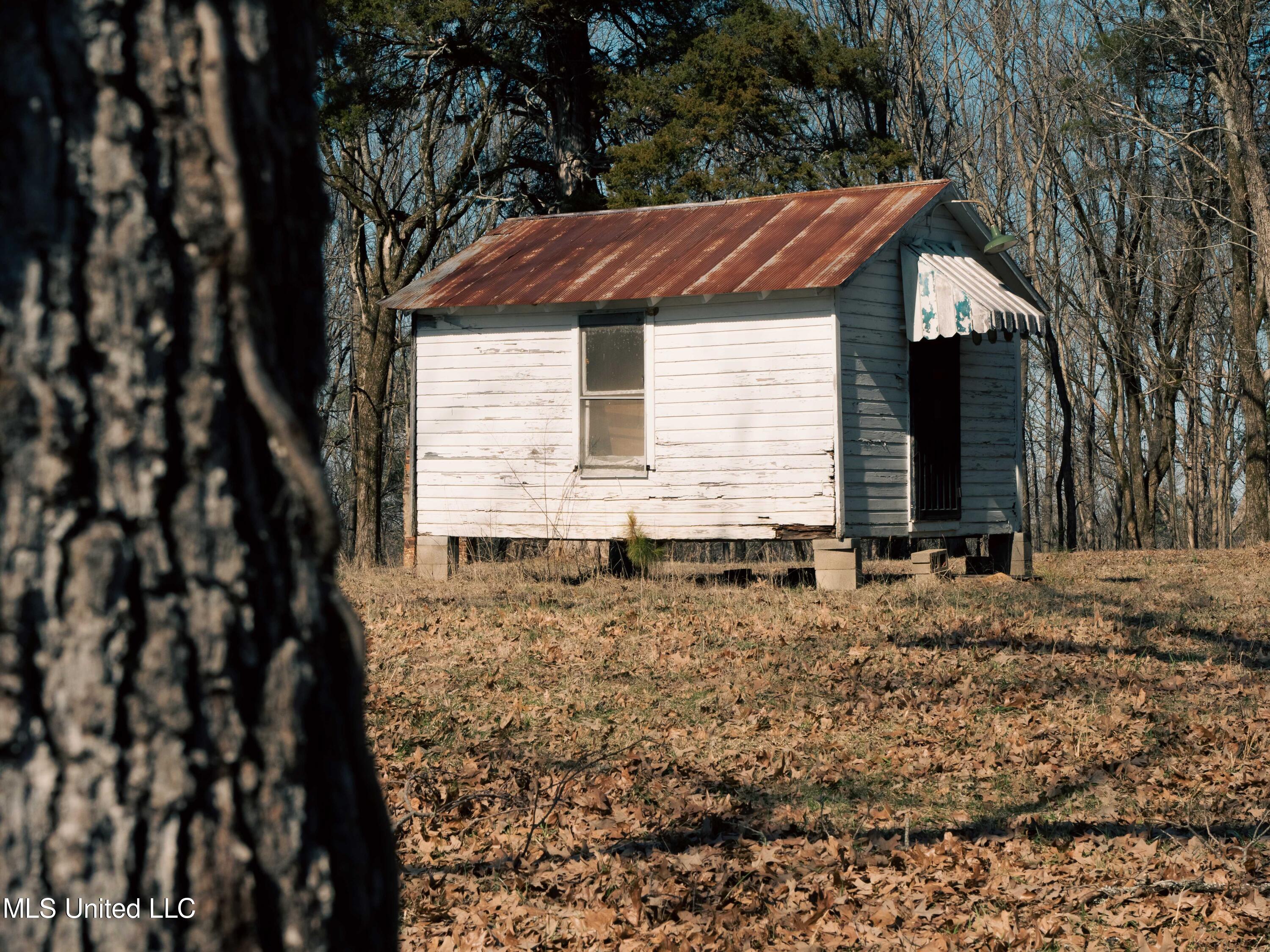 Millwright Road Holly Springs, MS 38635 - Photo 19 of 24 P1025578low