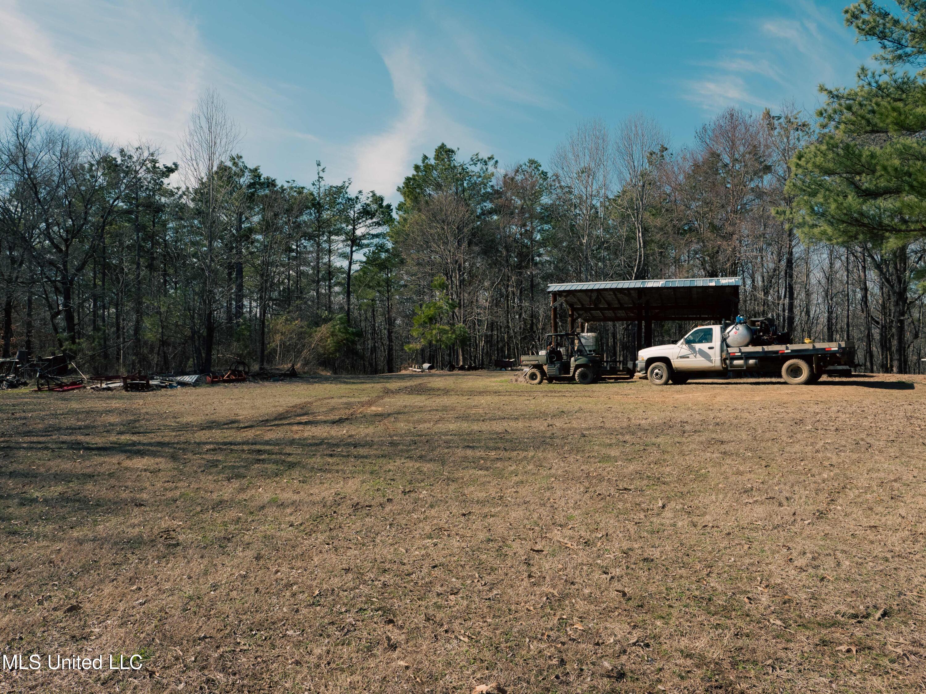 Millwright Road Holly Springs, MS 38635 - Photo 20 of 24 P1025586low
