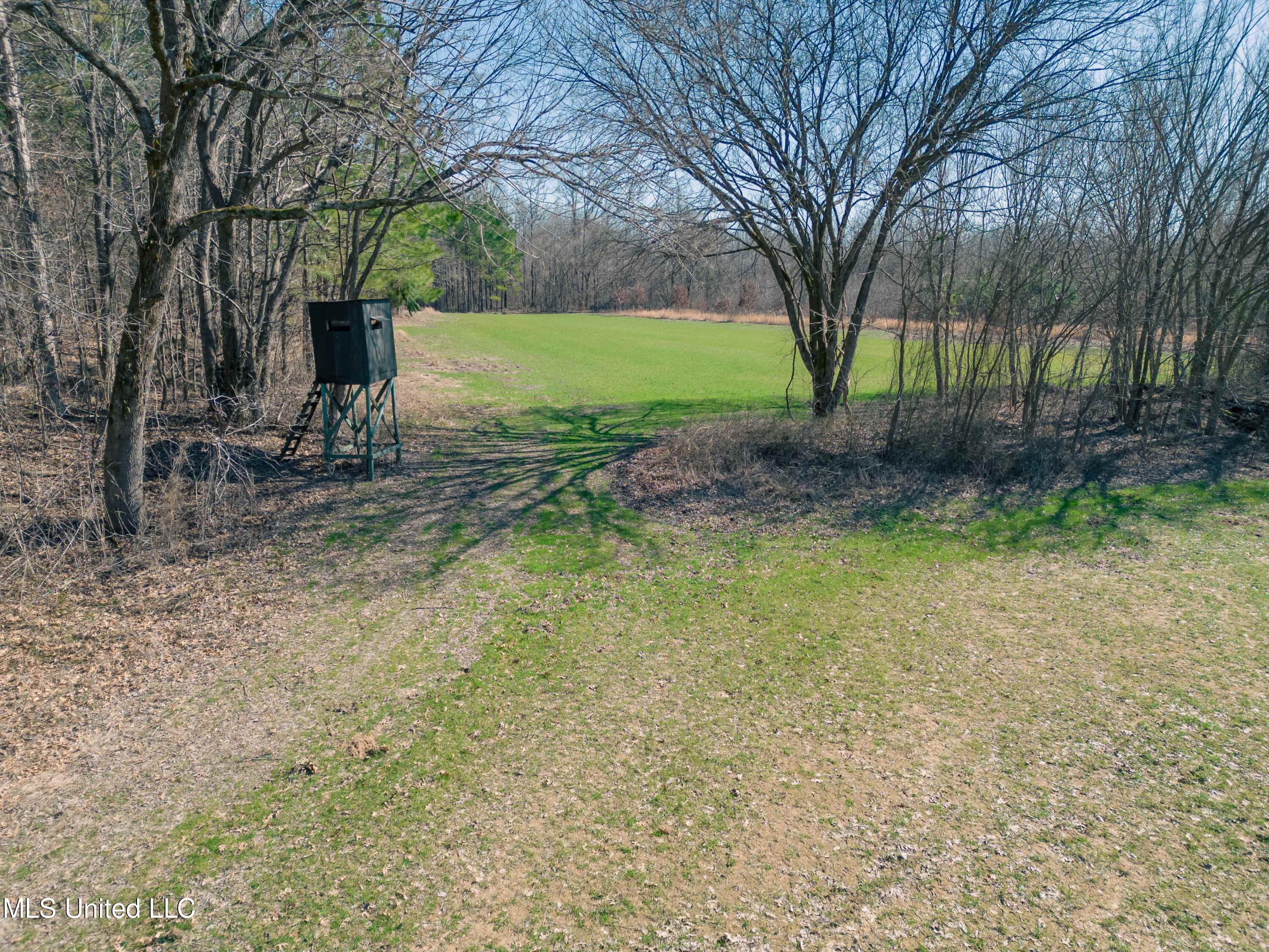 Millwright Road Holly Springs, MS 38635 - Photo 2 of 24 DJI_0689low