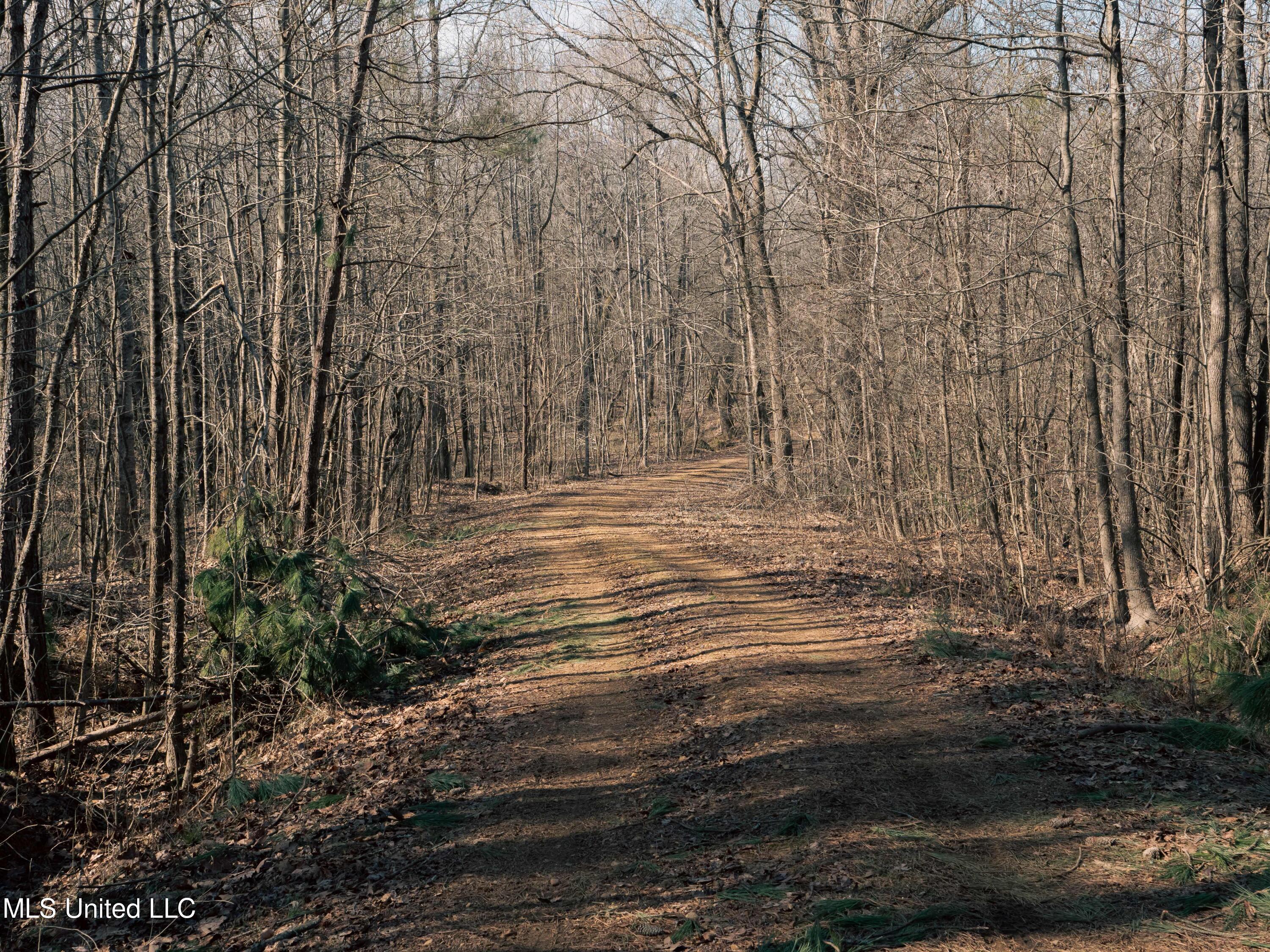 Millwright Road Holly Springs, MS 38635 - Photo 21 of 24 P1025594low