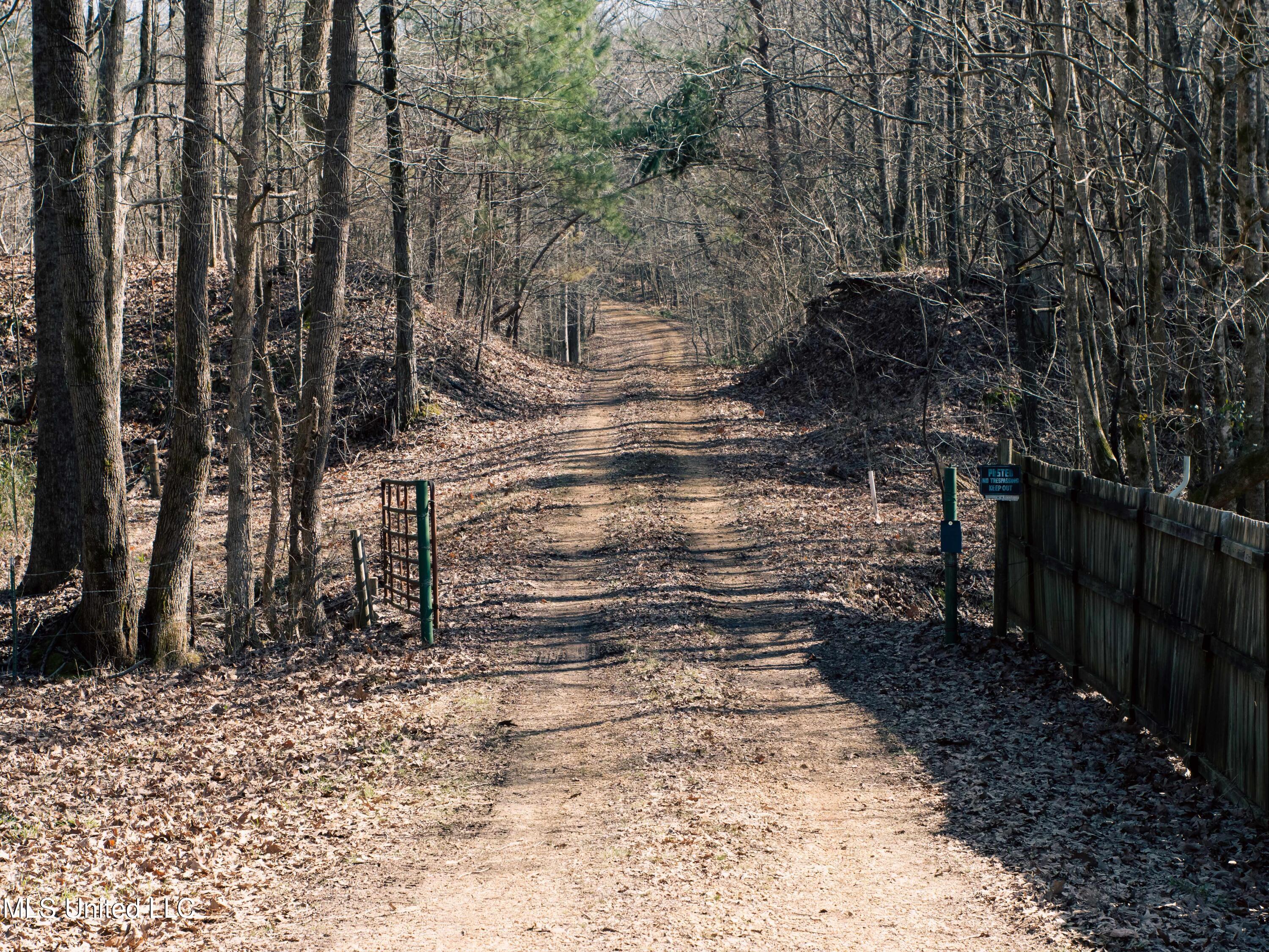 Millwright Road Holly Springs, MS 38635 - Photo 22 of 24 P1025607low
