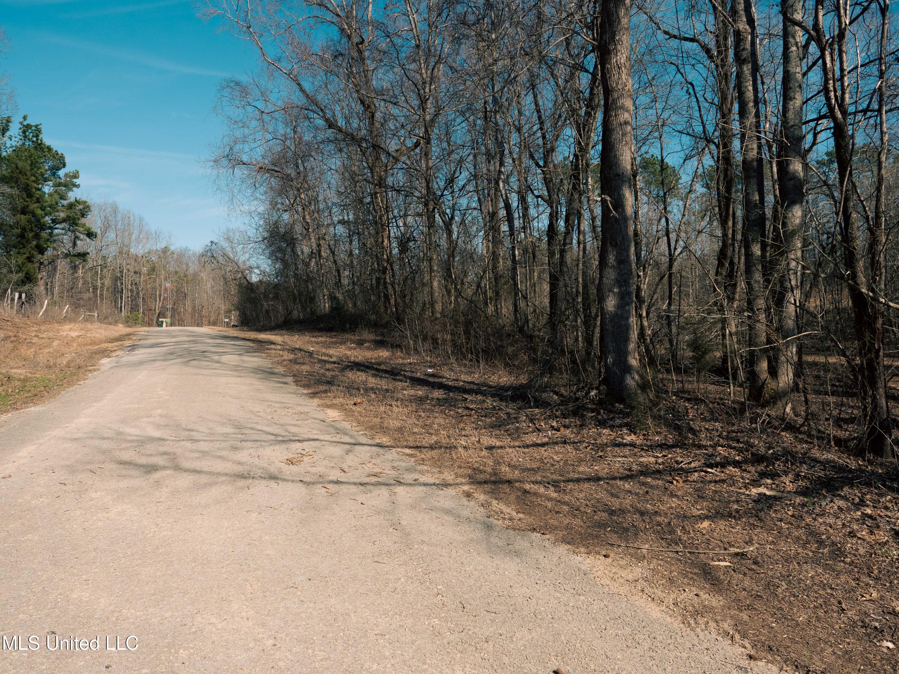 Millwright Road Holly Springs, MS 38635 - Photo 23 of 24 P1025613low