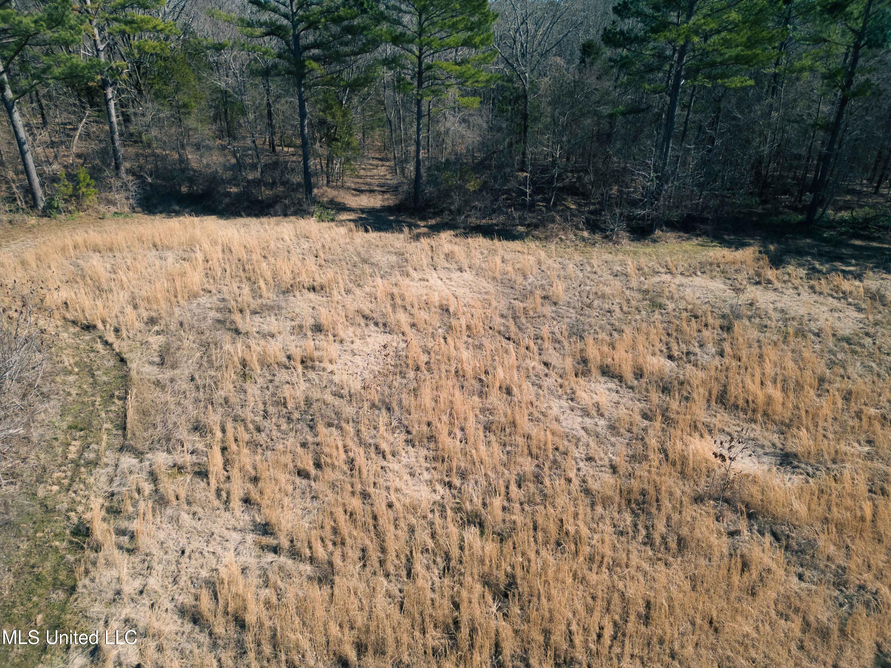 Millwright Road Holly Springs, MS 38635 - Photo 4 of 24 DJI_0701low