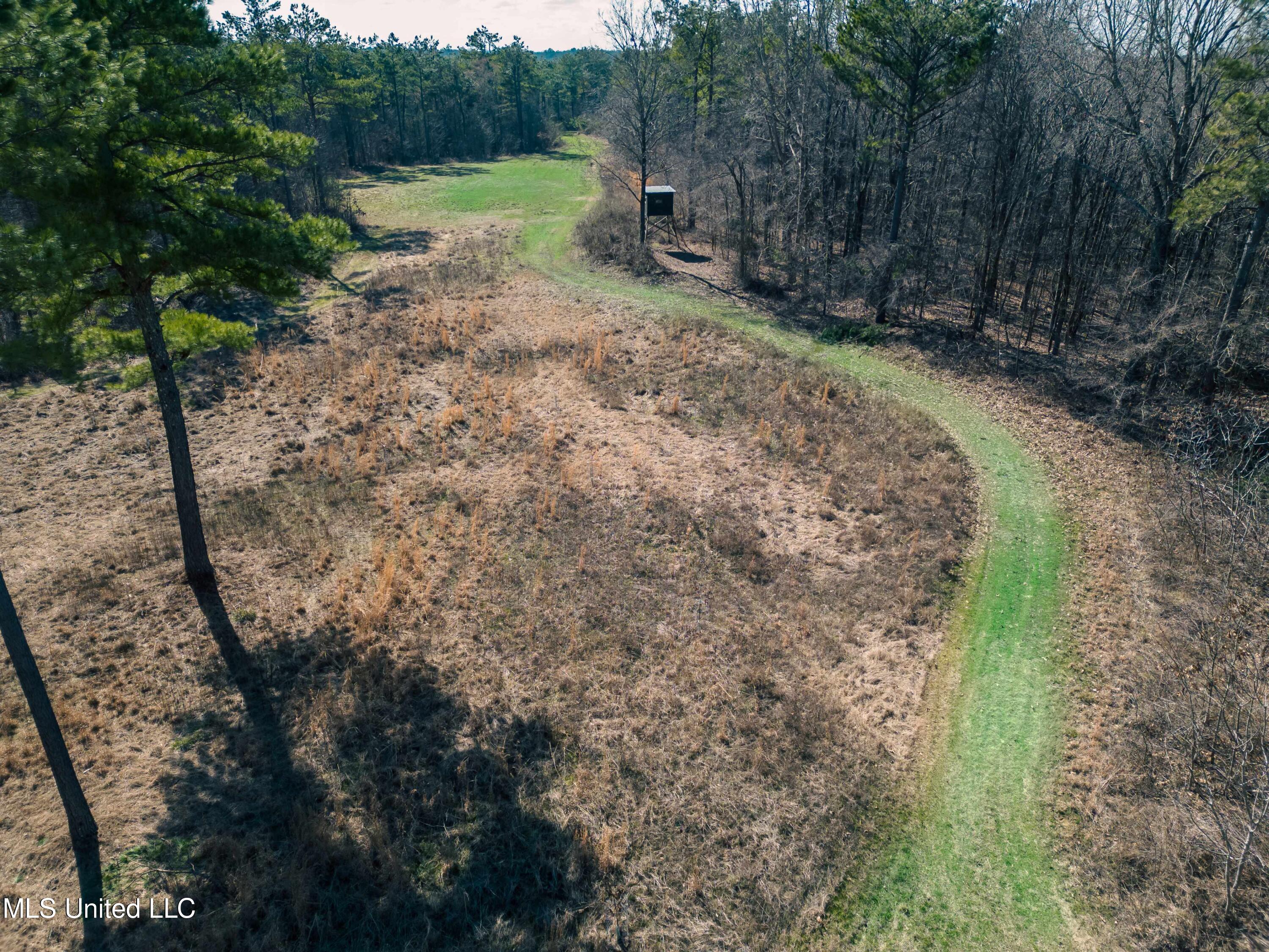 Millwright Road Holly Springs, MS 38635 - Photo 5 of 24 DJI_0702low