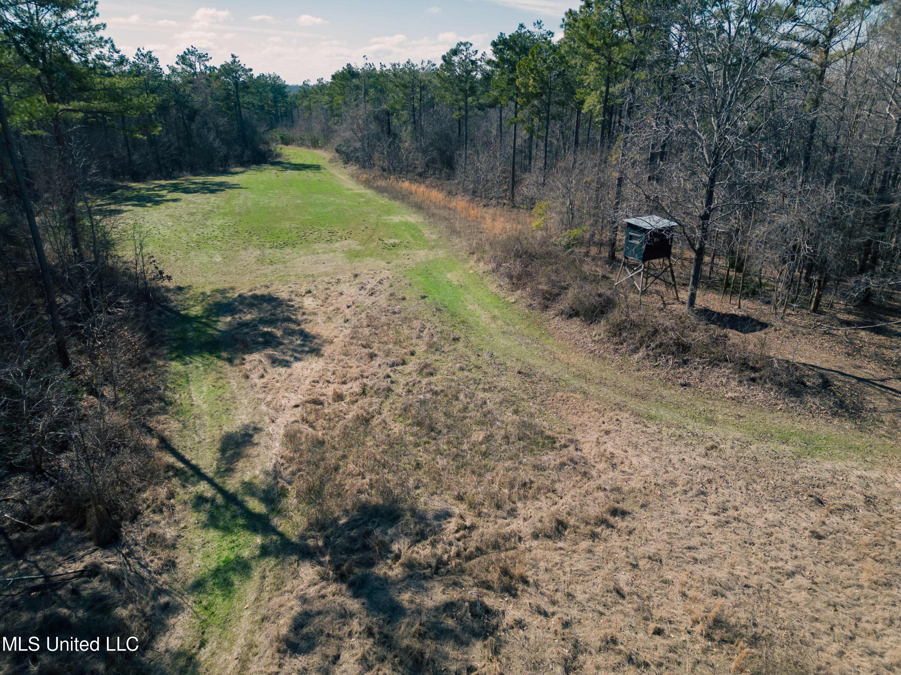 Millwright Road Holly Springs, MS 38635 - Photo 6 of 24 DJI_0703low