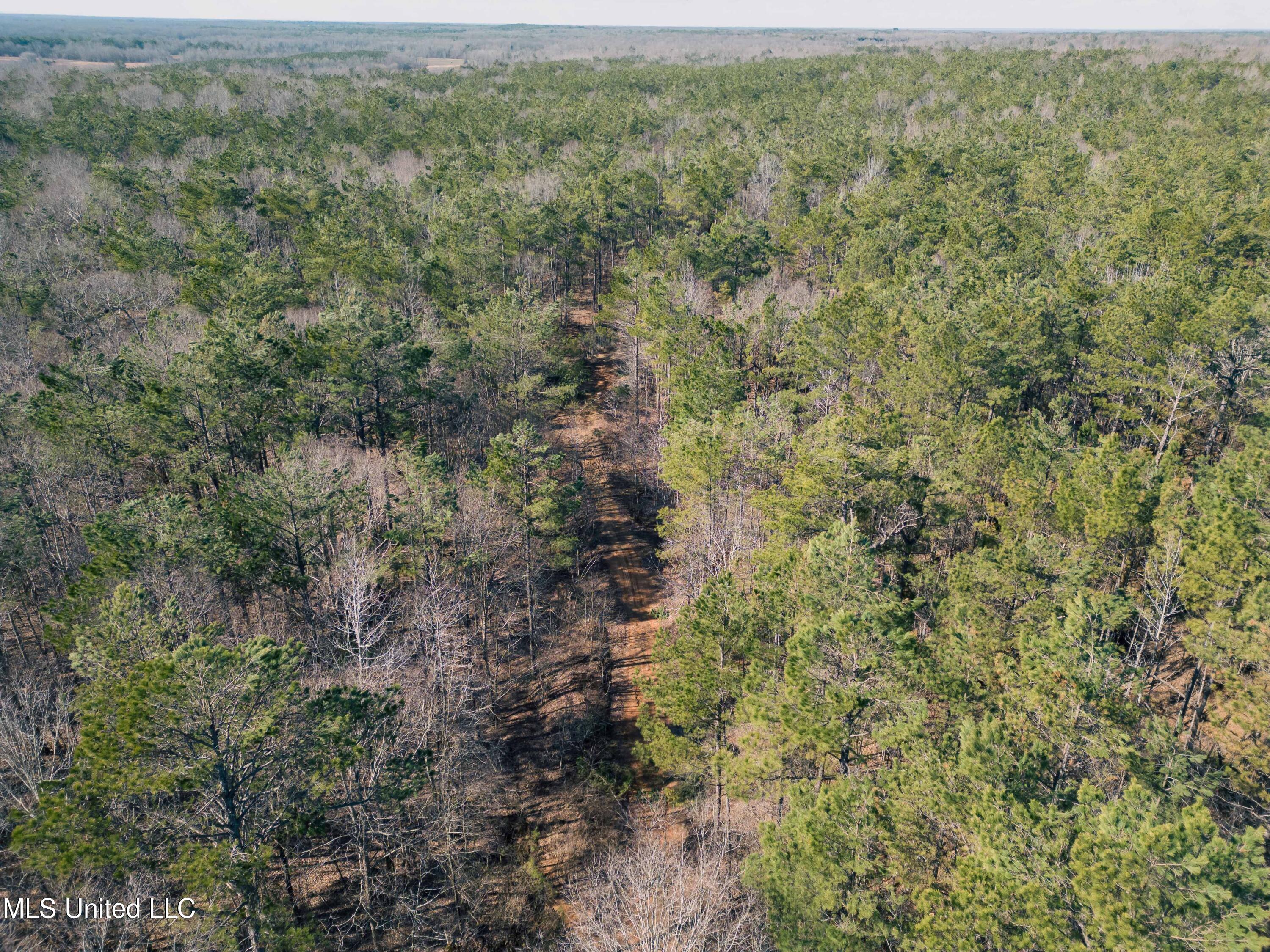Millwright Road Holly Springs, MS 38635 - Photo 7 of 24 DJI_0709low
