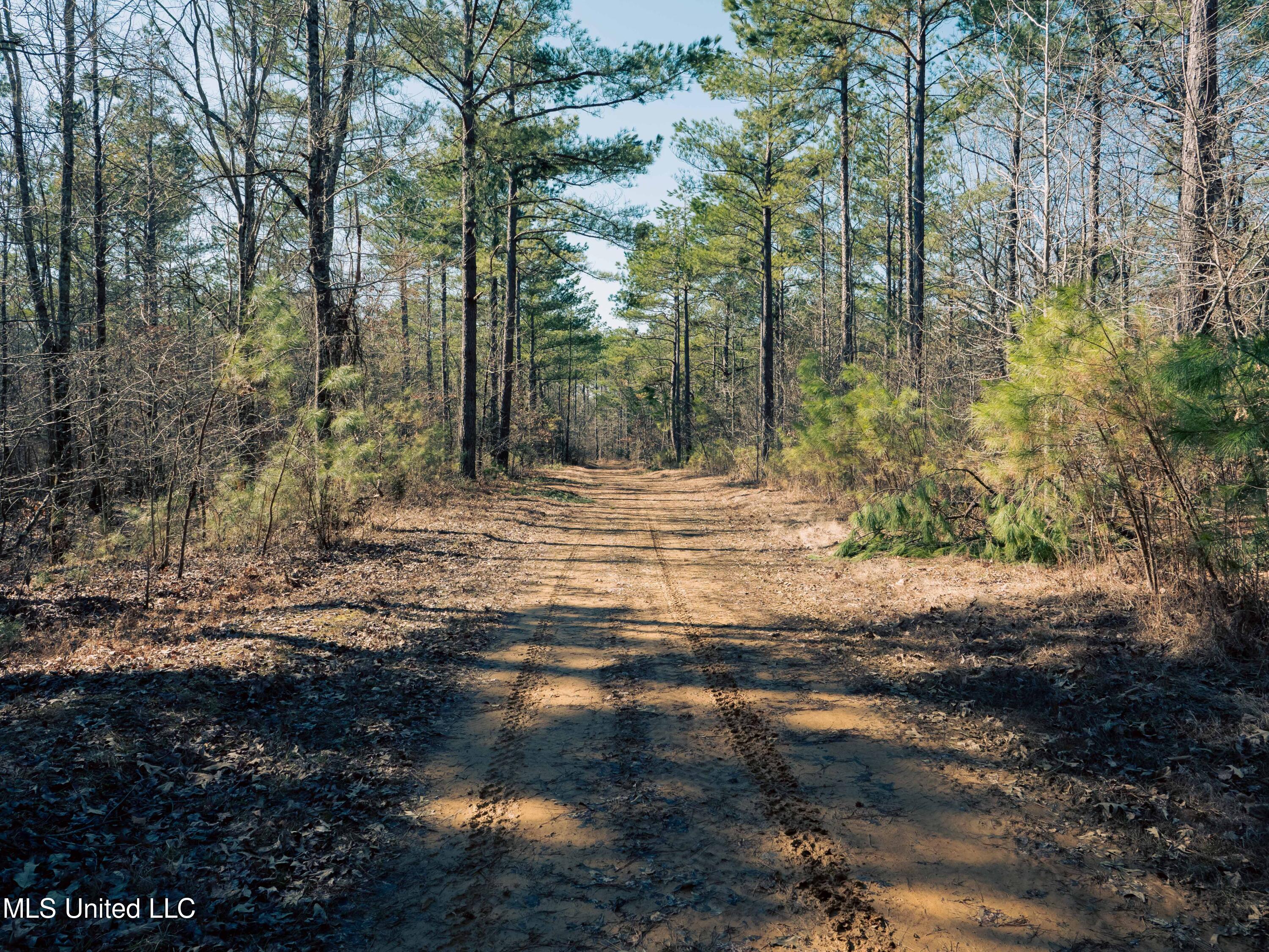 Millwright Road Holly Springs, MS 38635 - Photo 10 of 24 P1025406low