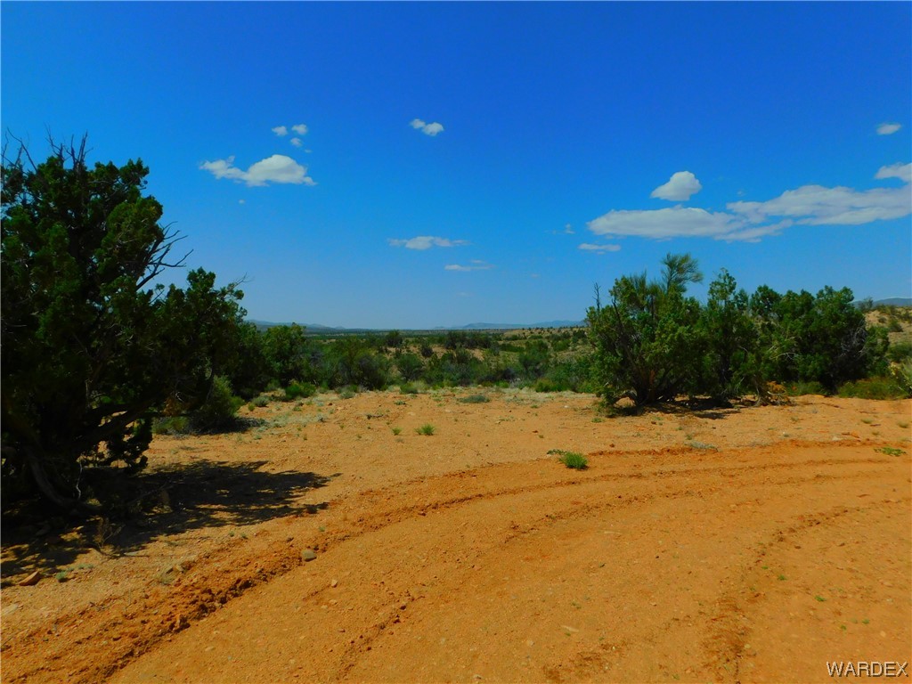14605 East Randy Ranch Road Kingman, AZ 86401 - Photo 6 of 10 a view of a lake