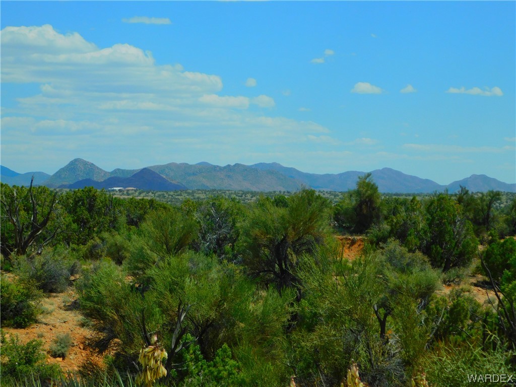 14605 East Randy Ranch Road Kingman, AZ 86401 - Photo 8 of 10 a view of a lush green forest with a mountain in the background
