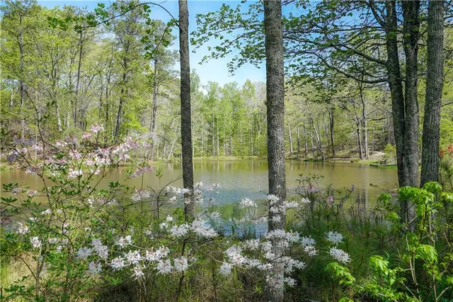 a view of lake with green space