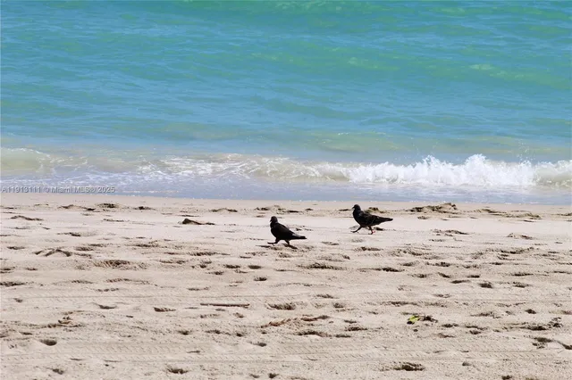 a view of beach and swimming pool