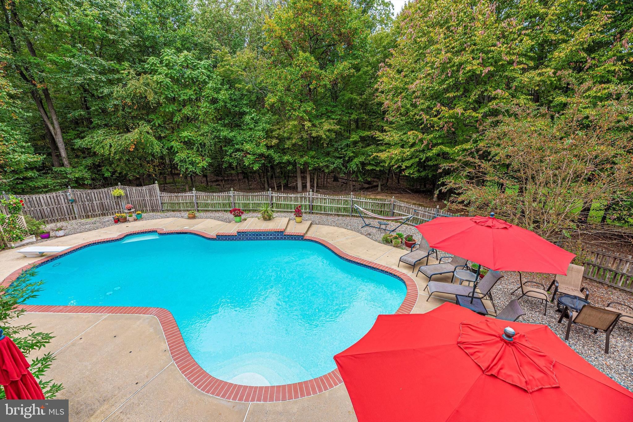 2110 Dixon Road Frederick, MD 21704 - Photo 42 of 57 Incredible Tree-Lined Yard