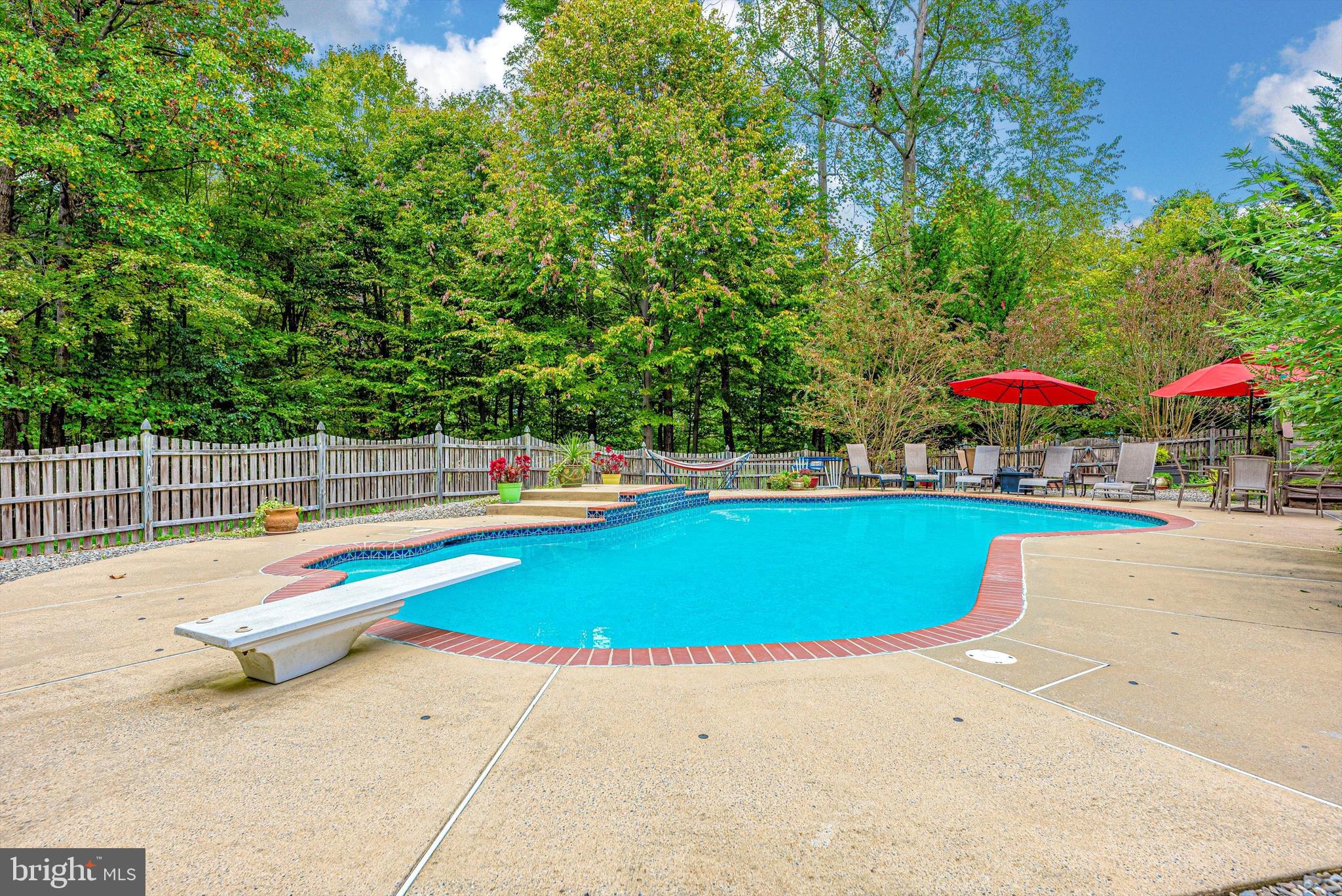 2110 Dixon Road Frederick, MD 21704 - Photo 44 of 57 Pool with Waterfall and Diving Board
