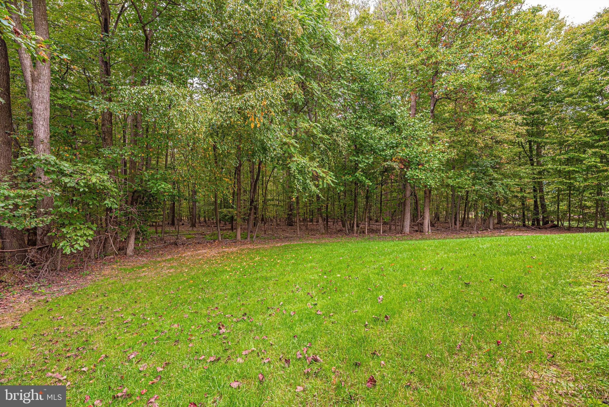 2110 Dixon Road Frederick, MD 21704 - Photo 48 of 57 Backyard - Tree-Line Property