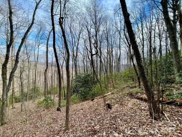 a backyard of a house