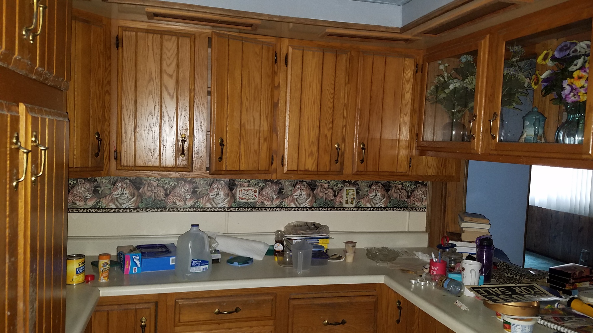 616 East Erie Street Spring Valley, IL 61362 - Photo 8 of 20