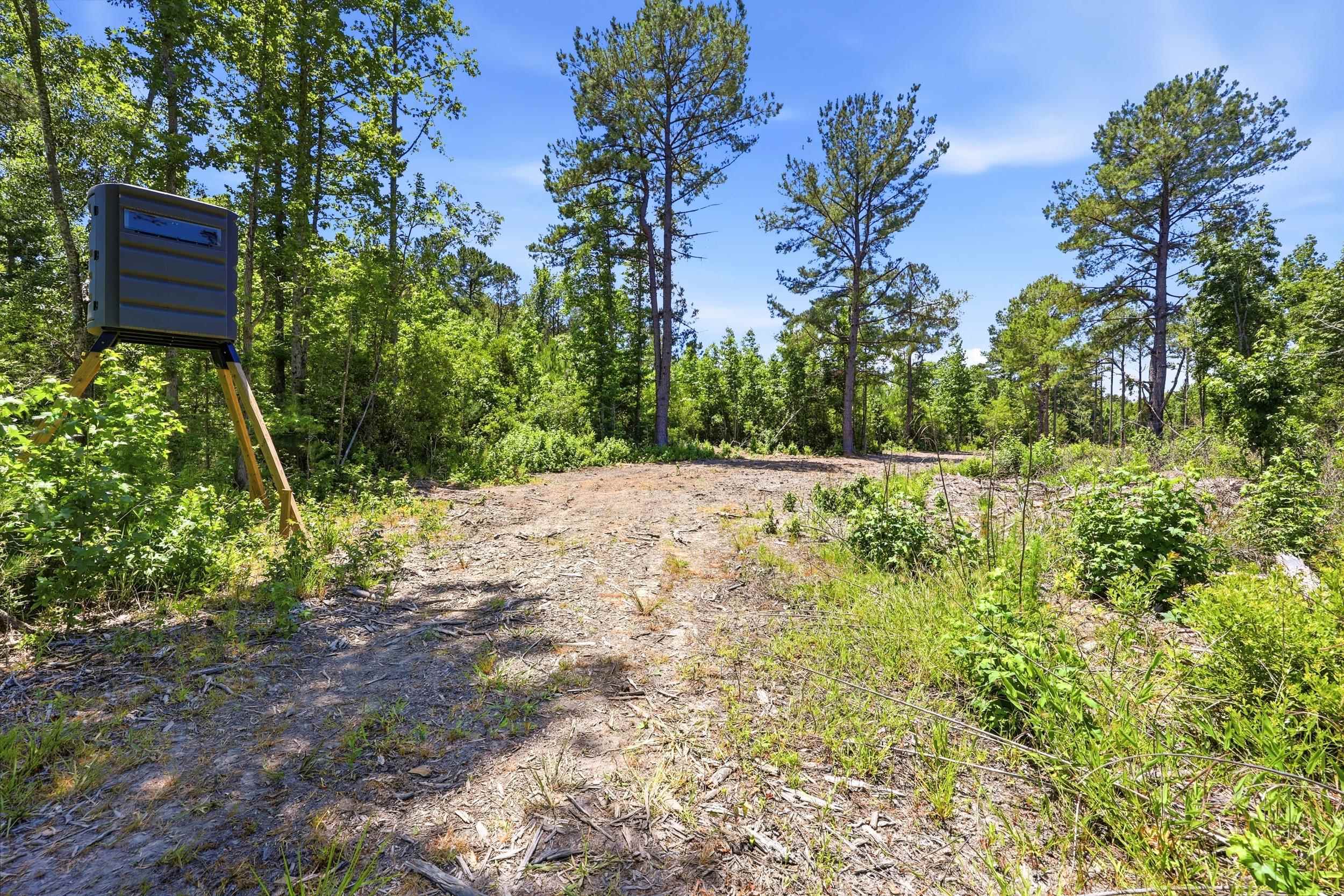 1375 North Old Georgetown Road Lake City, SC 29560 - Photo 36 of 49