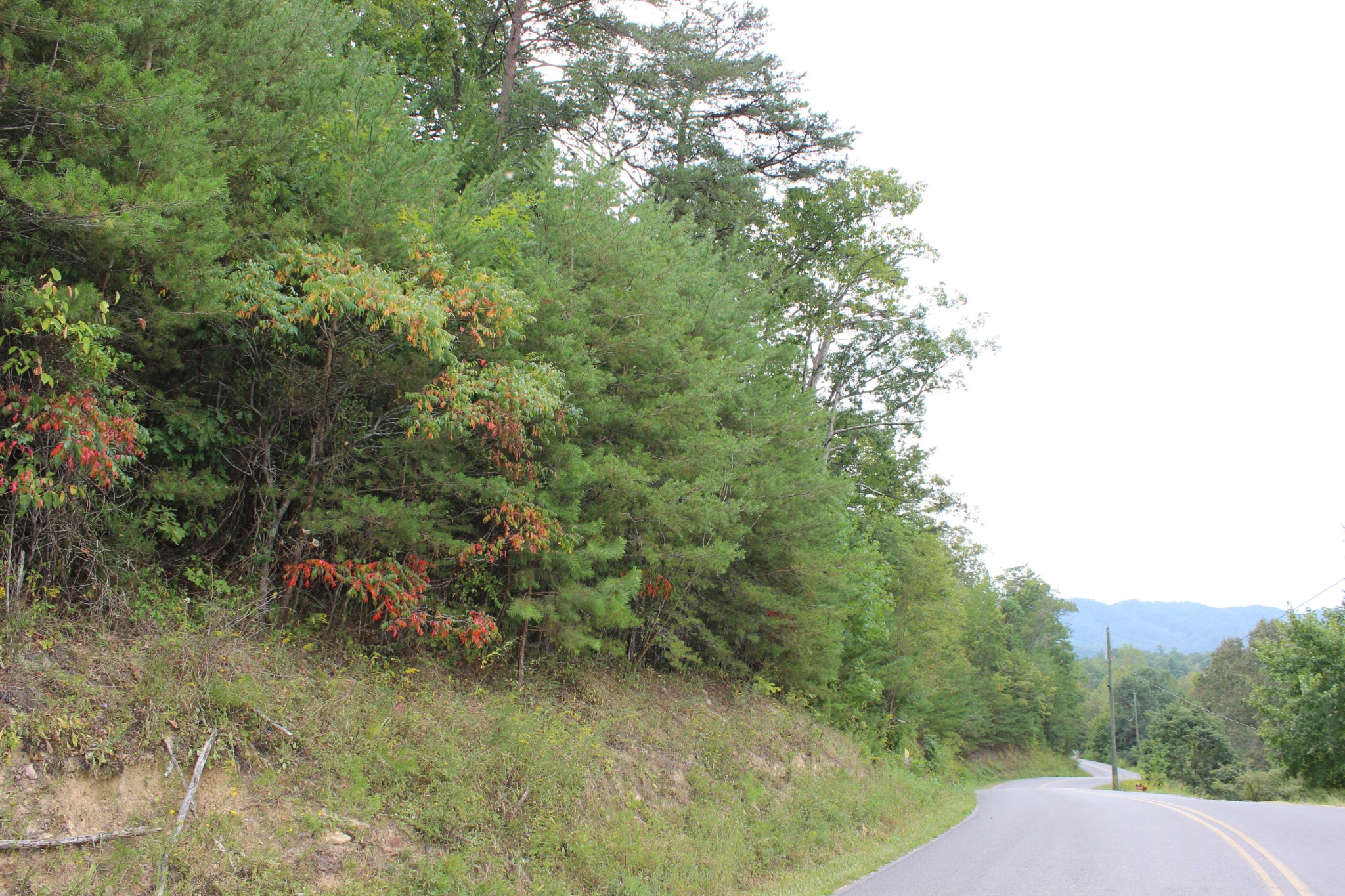 1414 Sharp Road Sevierville, TN 37876 - Photo 4 of 4