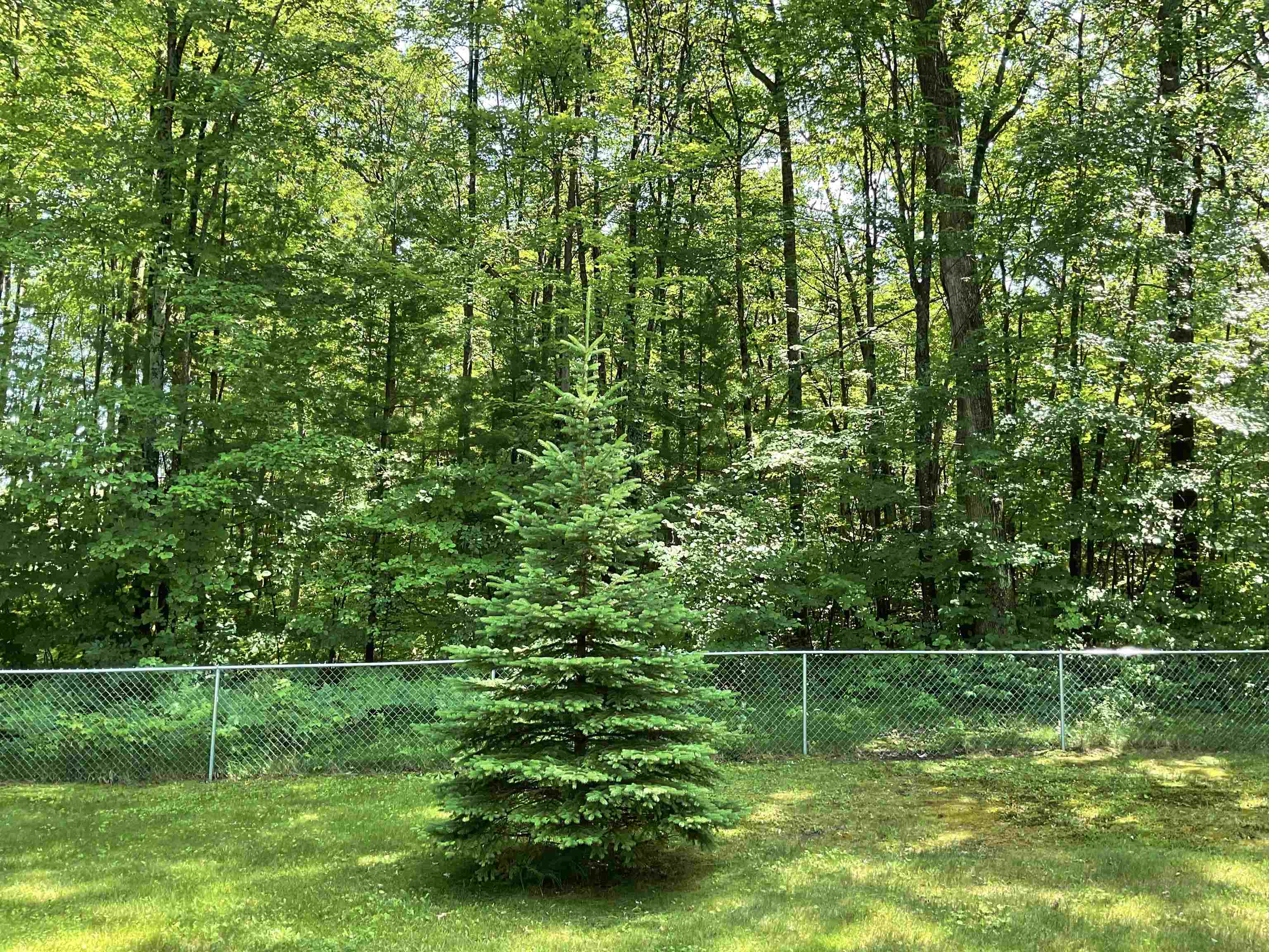 3300 East Arnold Lake Road Harrison, MI 48625 - Photo 76 of 90 1947481-5a662a1d-08e7-408c-953d-97f27ae6fef6.JPG