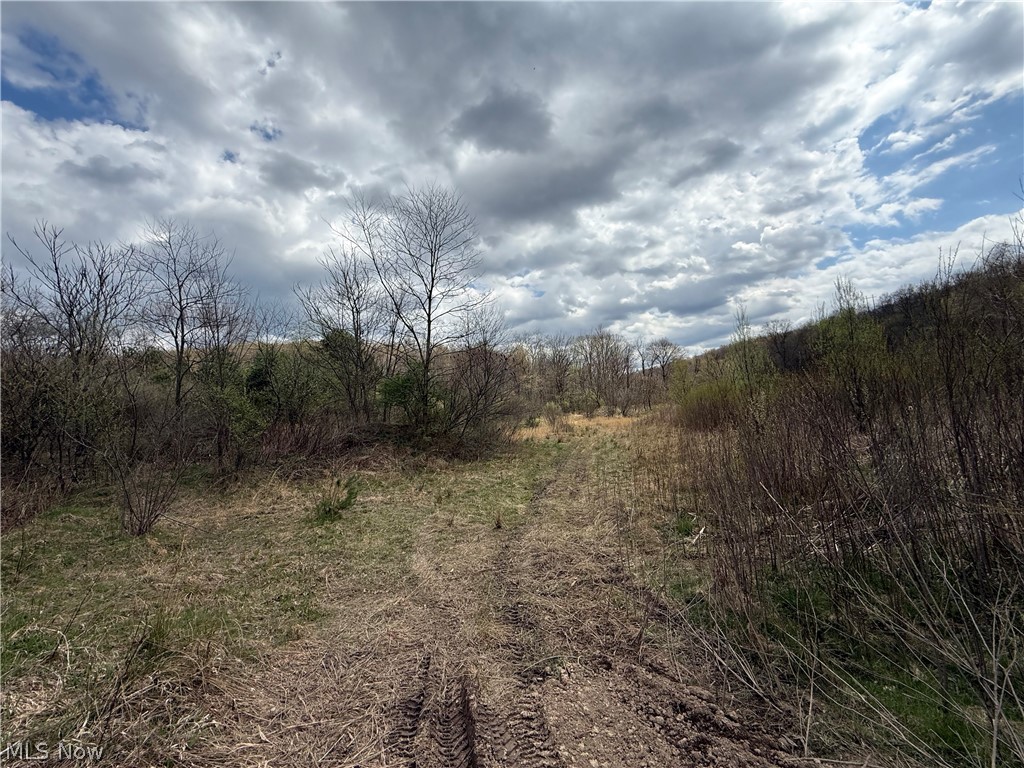 2492 Irish Ridge Road East Liverpool, OH 43920 - Photo 6 of 10