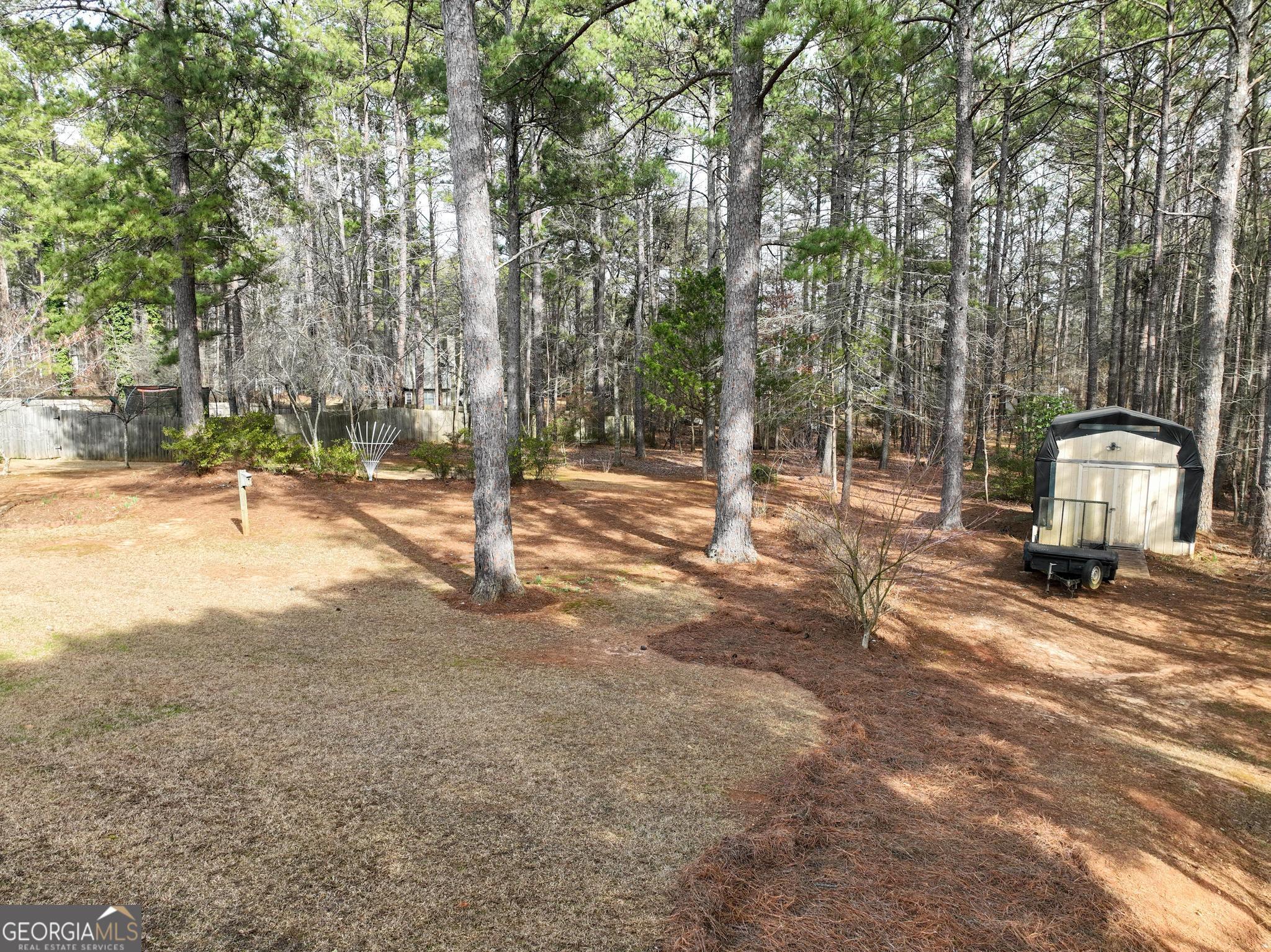 291 Lora Smith Road Newnan, GA 30265 - Photo 31 of 37 a view of a tree in the middle of a yard