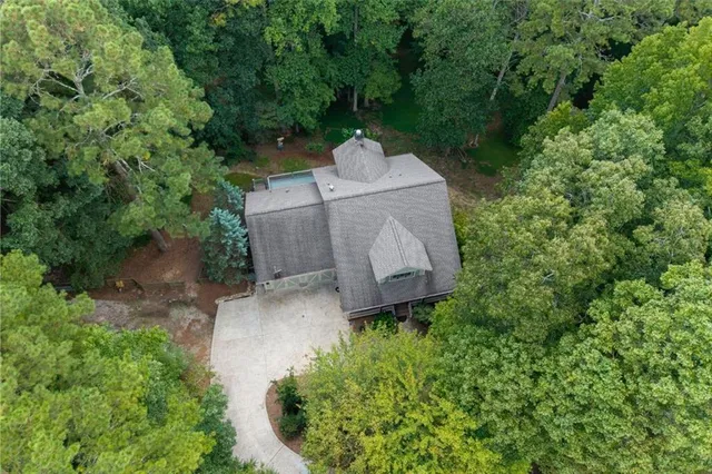 a view of a trees in a yard