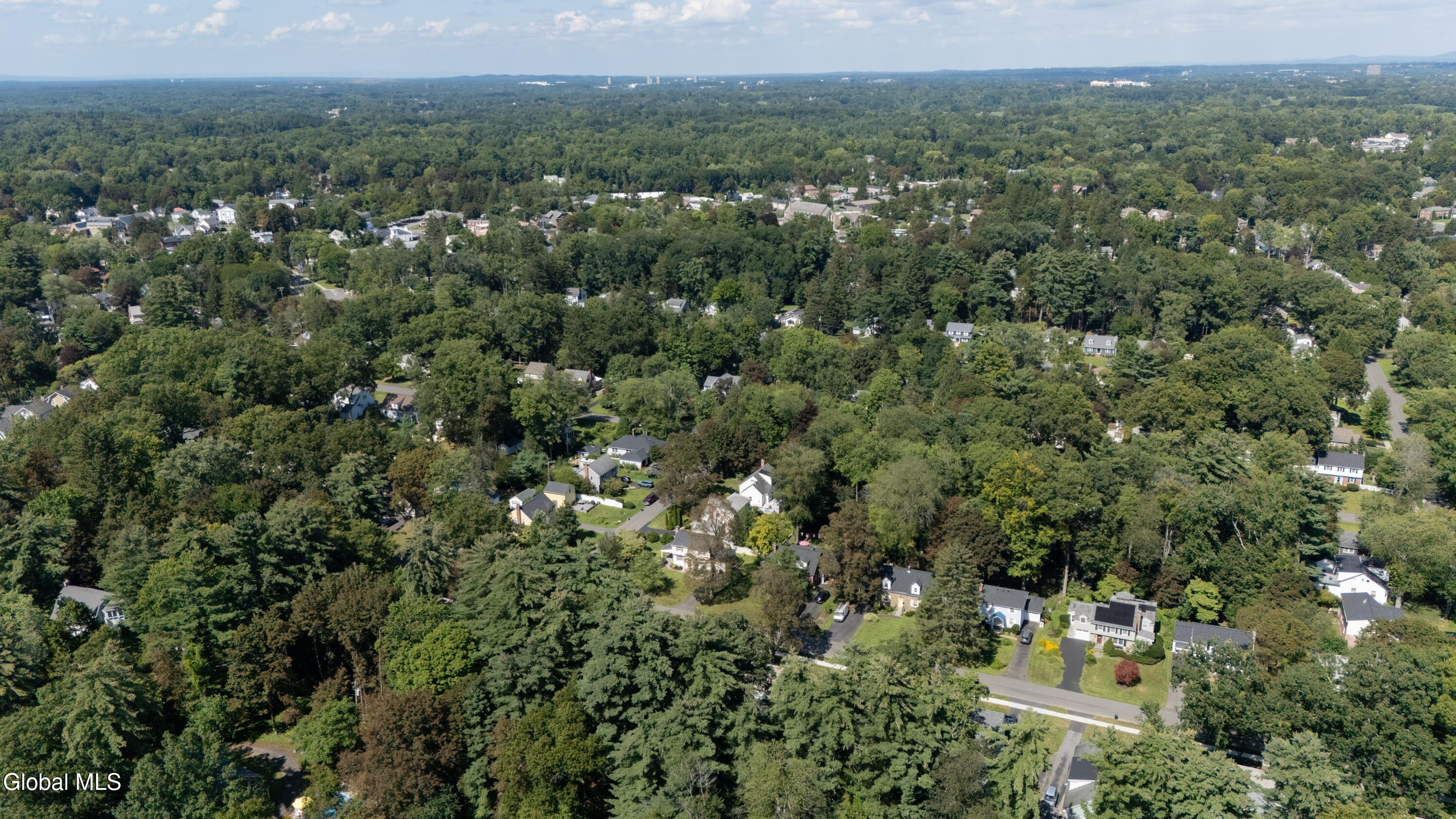 28 Douglas Road Bethlehem, NY 12054 - Photo 39 of 40 28 Douglas Rd Aerial 5