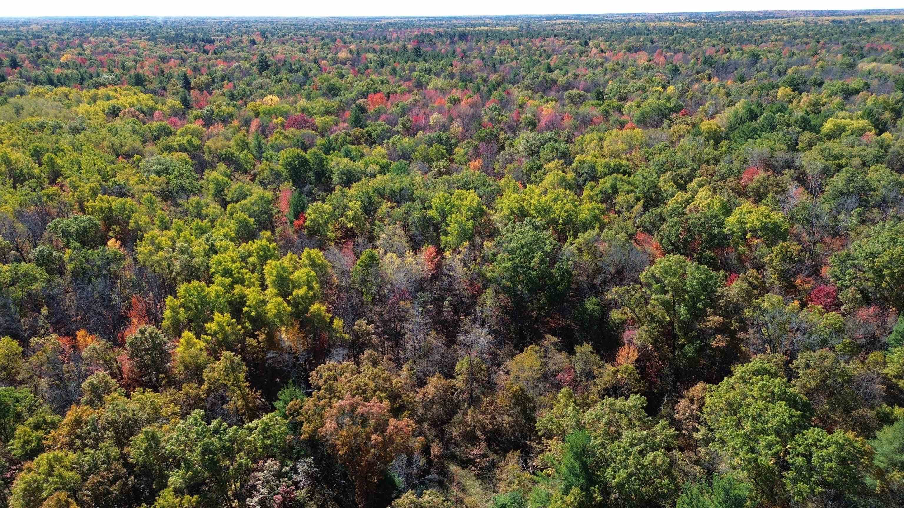 0 Timber Trail Prescott, MI 48756 - Photo 18 of 44