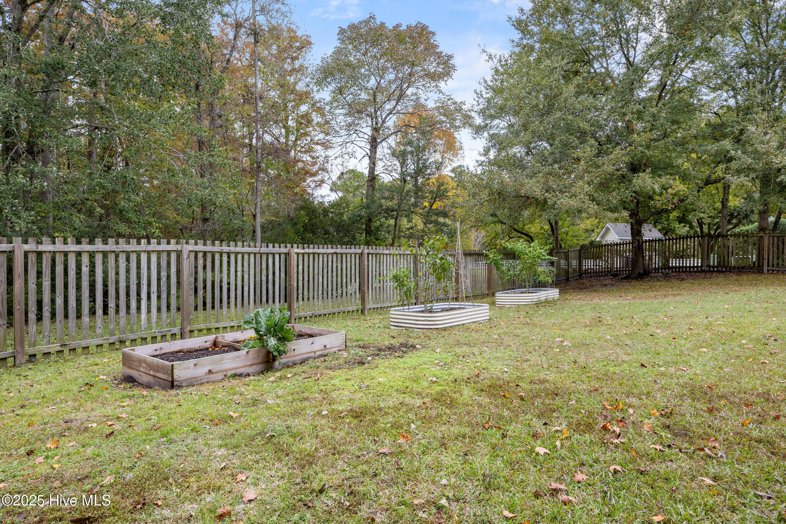 370 Whitebridge Road Hampstead, NC 28443 - Photo 63 of 108 63_backyard