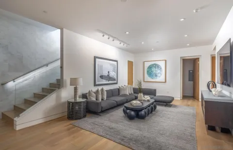 a living room with furniture and a potted plant
