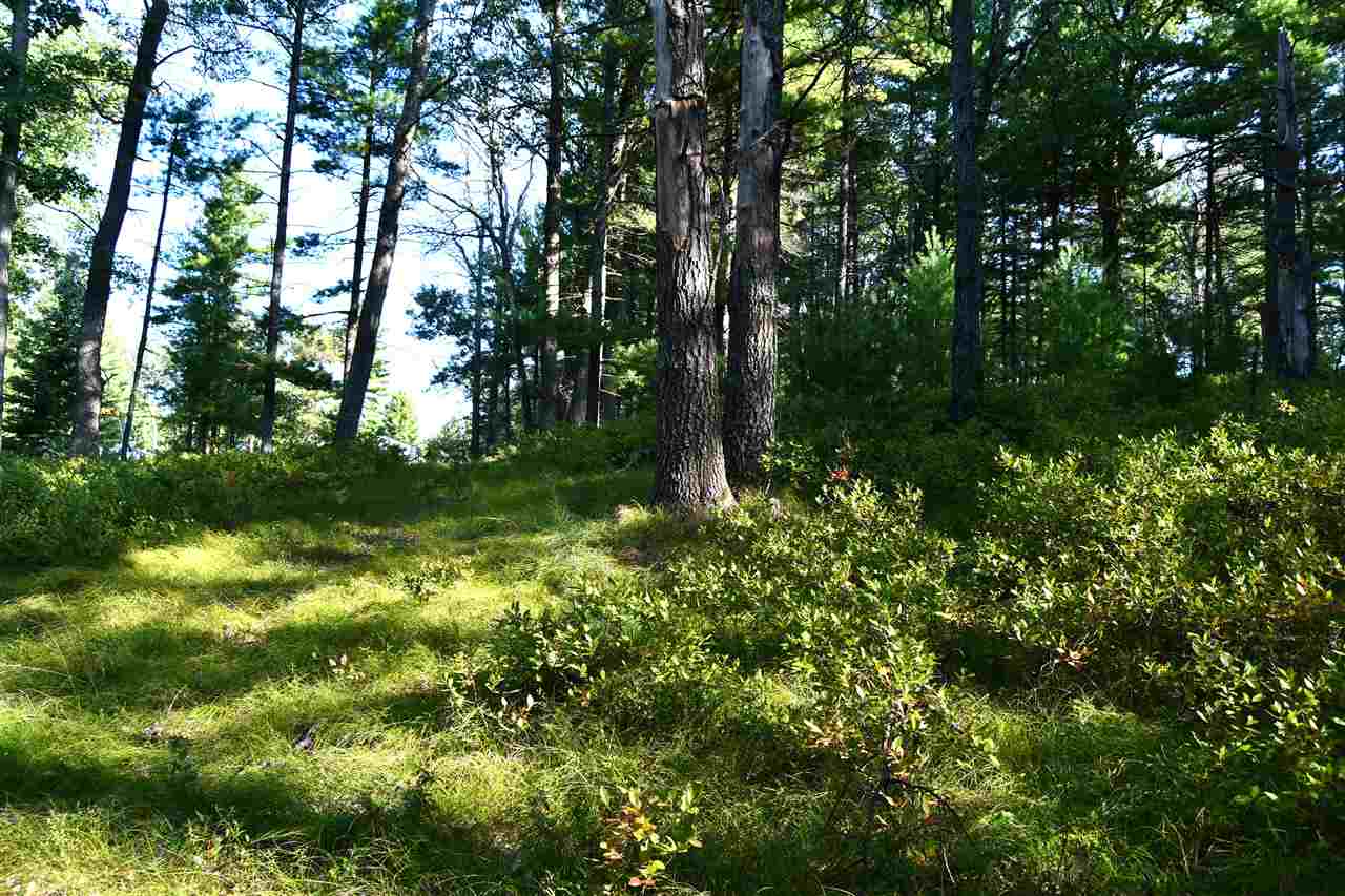 Lot 12-blk Van Buren Road St. Helen, MI 48656 - Photo 4 of 4 1880110-3.JPG