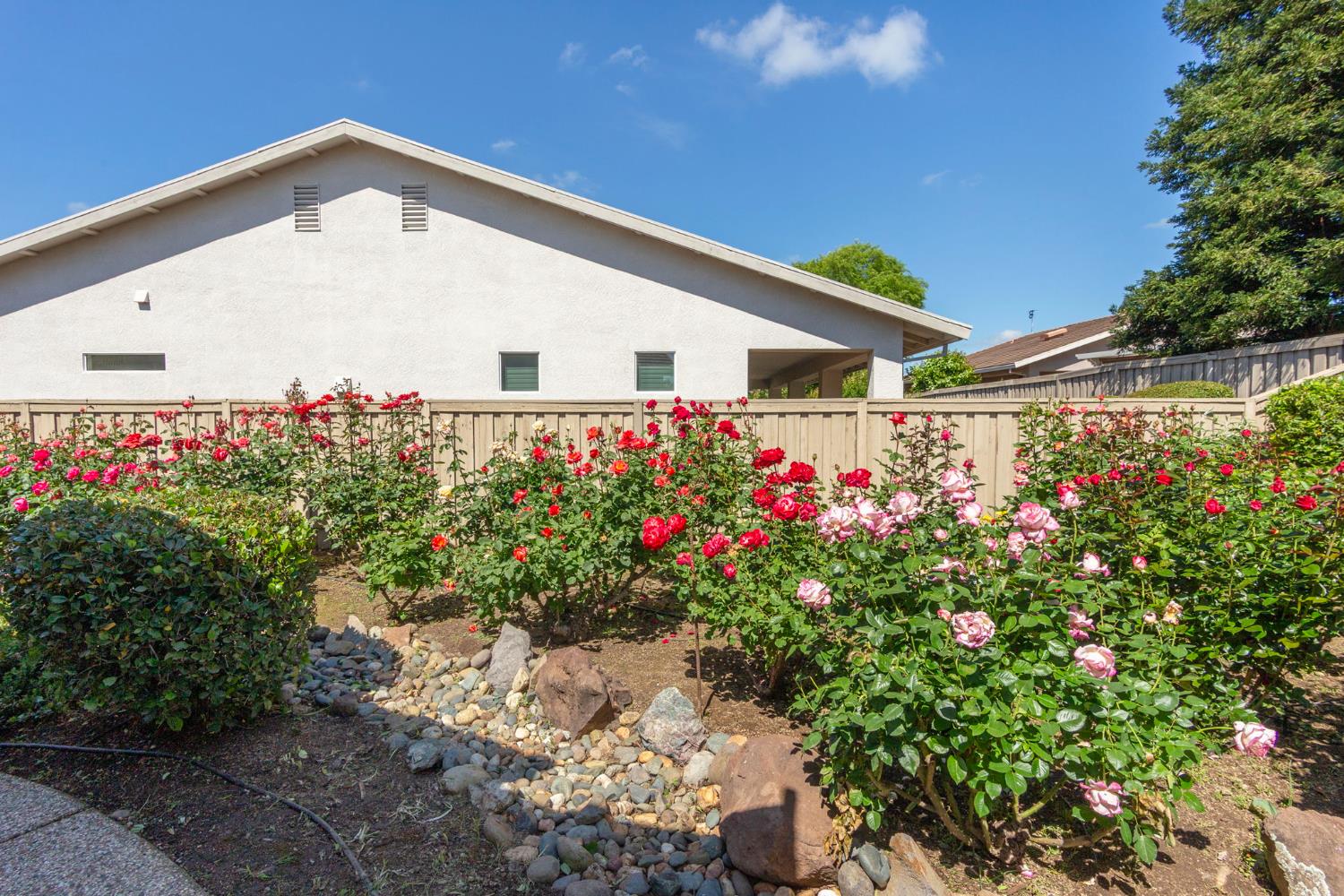 1260 Freschi Lane Lincoln, CA 95648 - Photo 50 of 60 a front view of a house with a yard
