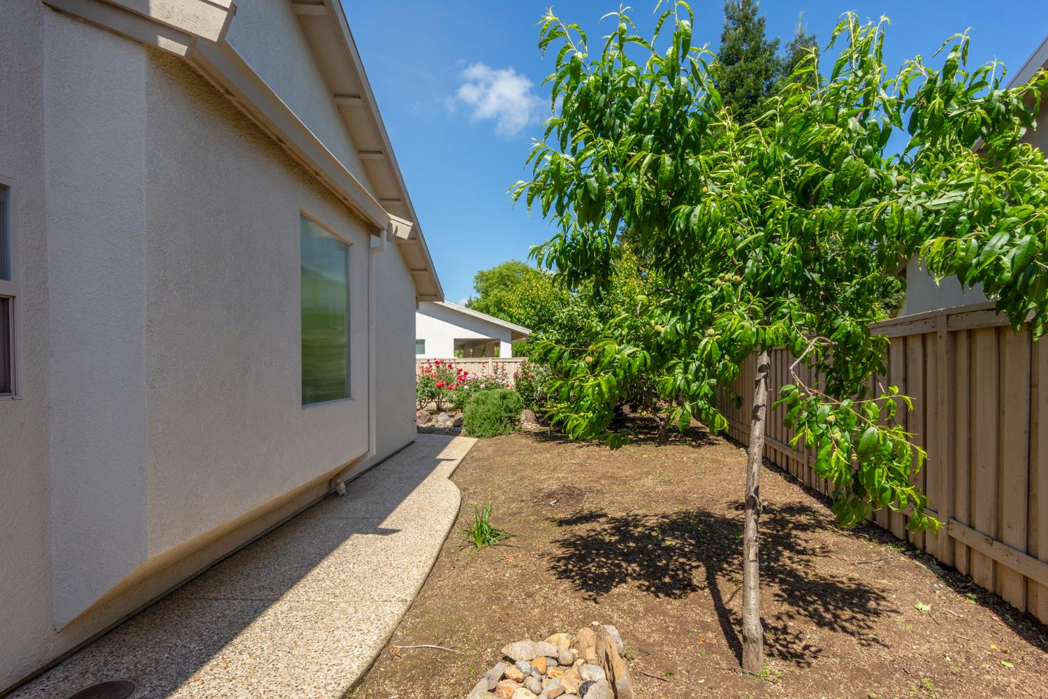 1260 Freschi Lane Lincoln, CA 95648 - Photo 51 of 60 a view of a backyard with potted plants
