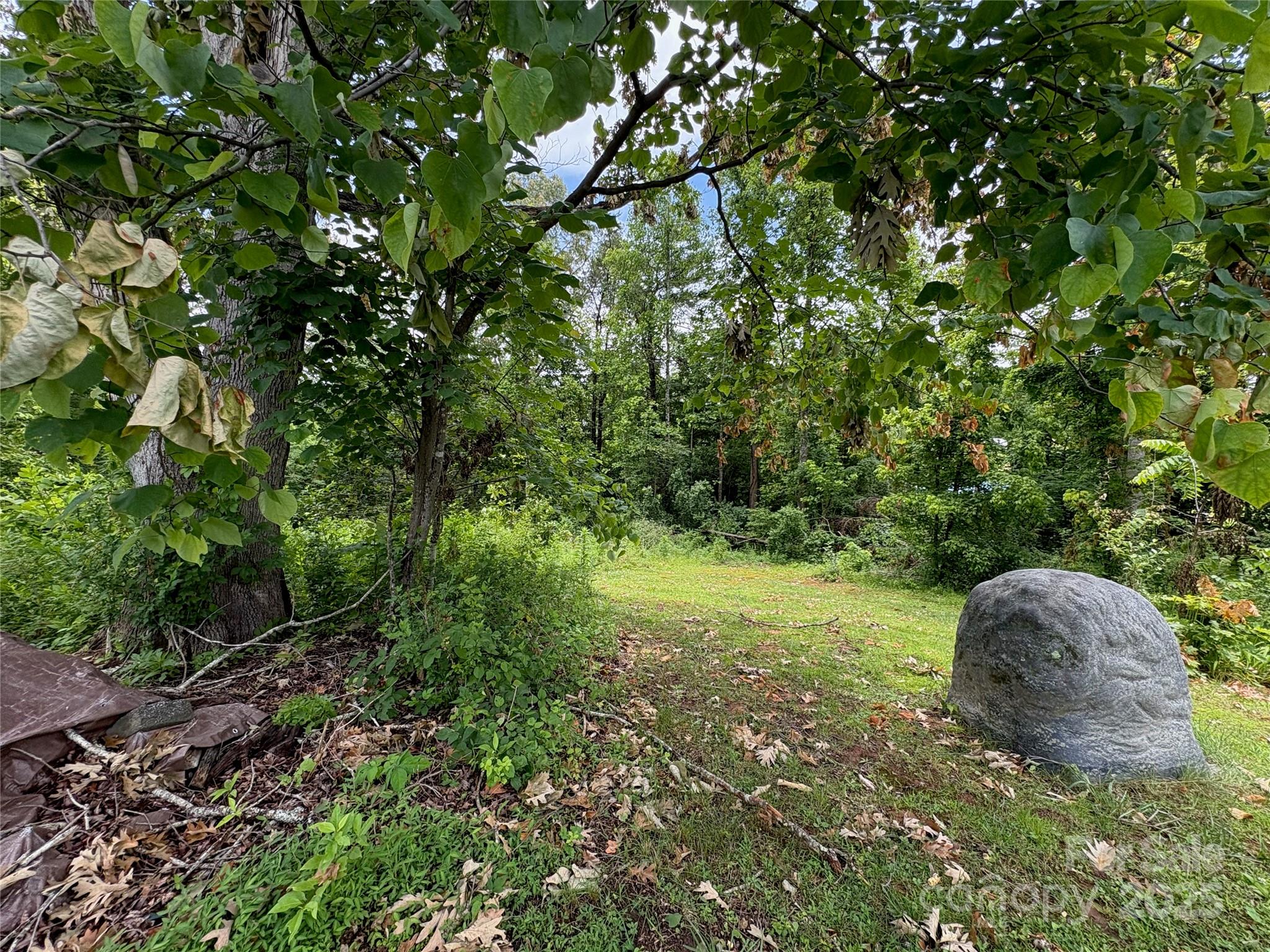 78 Moffitt Hill Church Road Old Fort, NC 28762 - Photo 13 of 37 a view of a tree in a yard