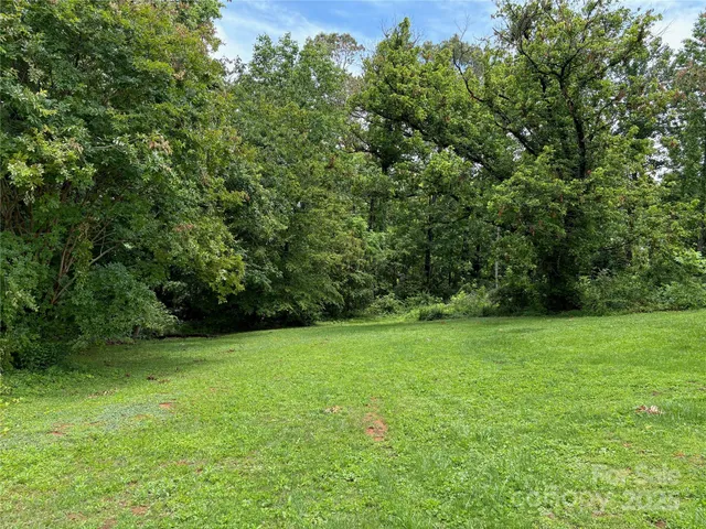 a view of a green field with trees in the background
