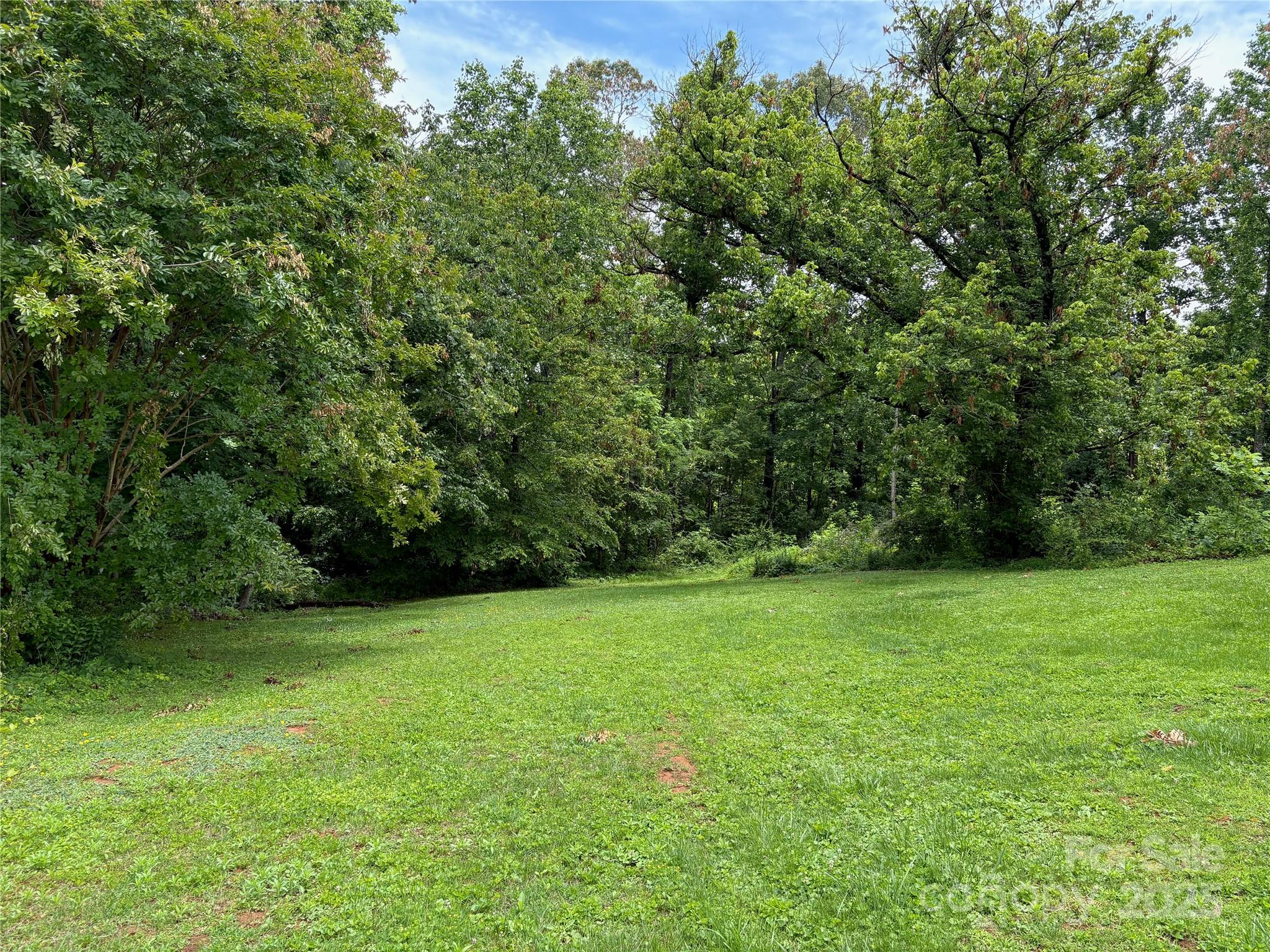 78 Moffitt Hill Church Road Old Fort, NC 28762 - Photo 15 of 37 a view of a green field with plants in the background