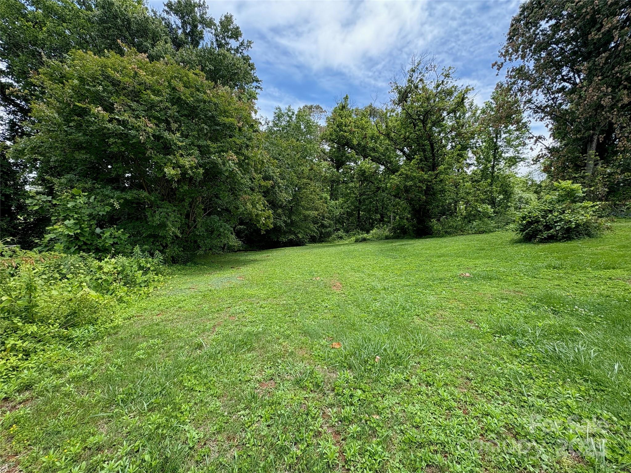 78 Moffitt Hill Church Road Old Fort, NC 28762 - Photo 16 of 37 a view of a green field with trees in the background